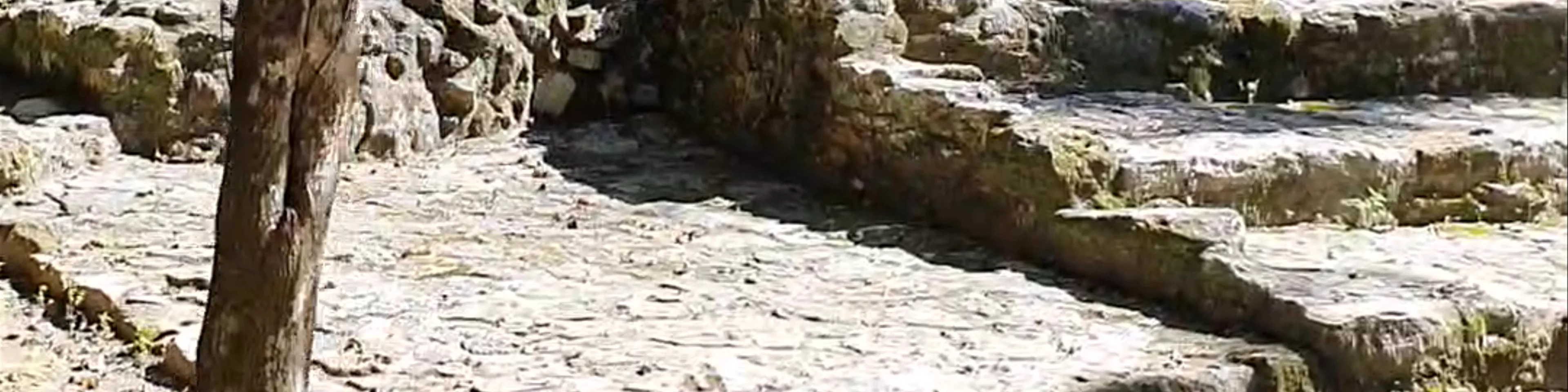 Coba archaeological site