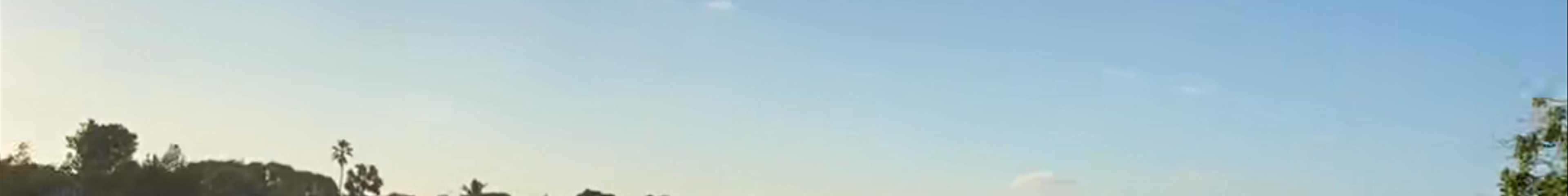 Tours & experiences in Fort Lauderdale