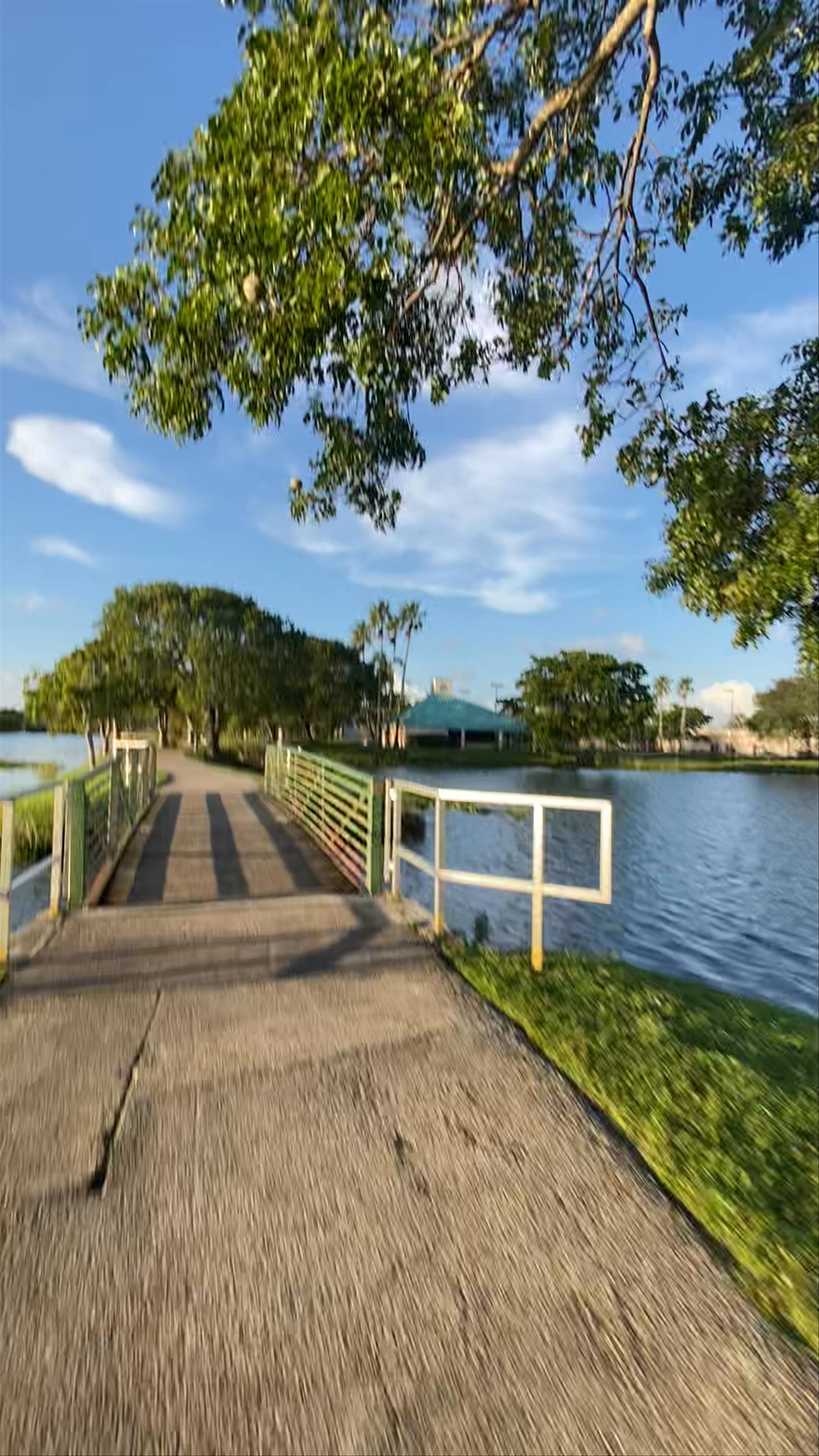 Royal Palm Park Trail!