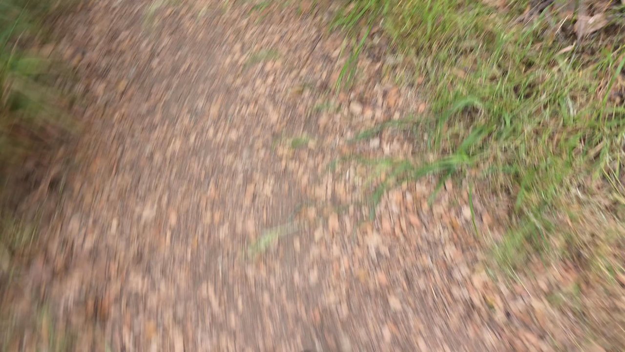 Video thumbnail 37 more videos