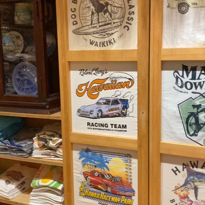 Malibu Shirts - Men's Clothing Near Me - Wailea, Hawaii