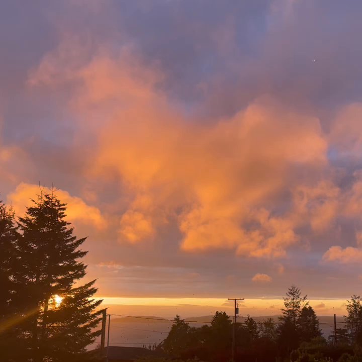 Ledgewood Beach - Spectacular Sunsets - Beaches Near Me - Coupeville, Washington