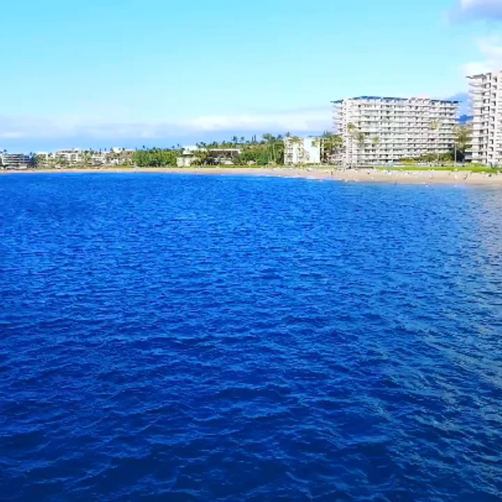 Maui Surf Excursions - Surf Schools Near Me