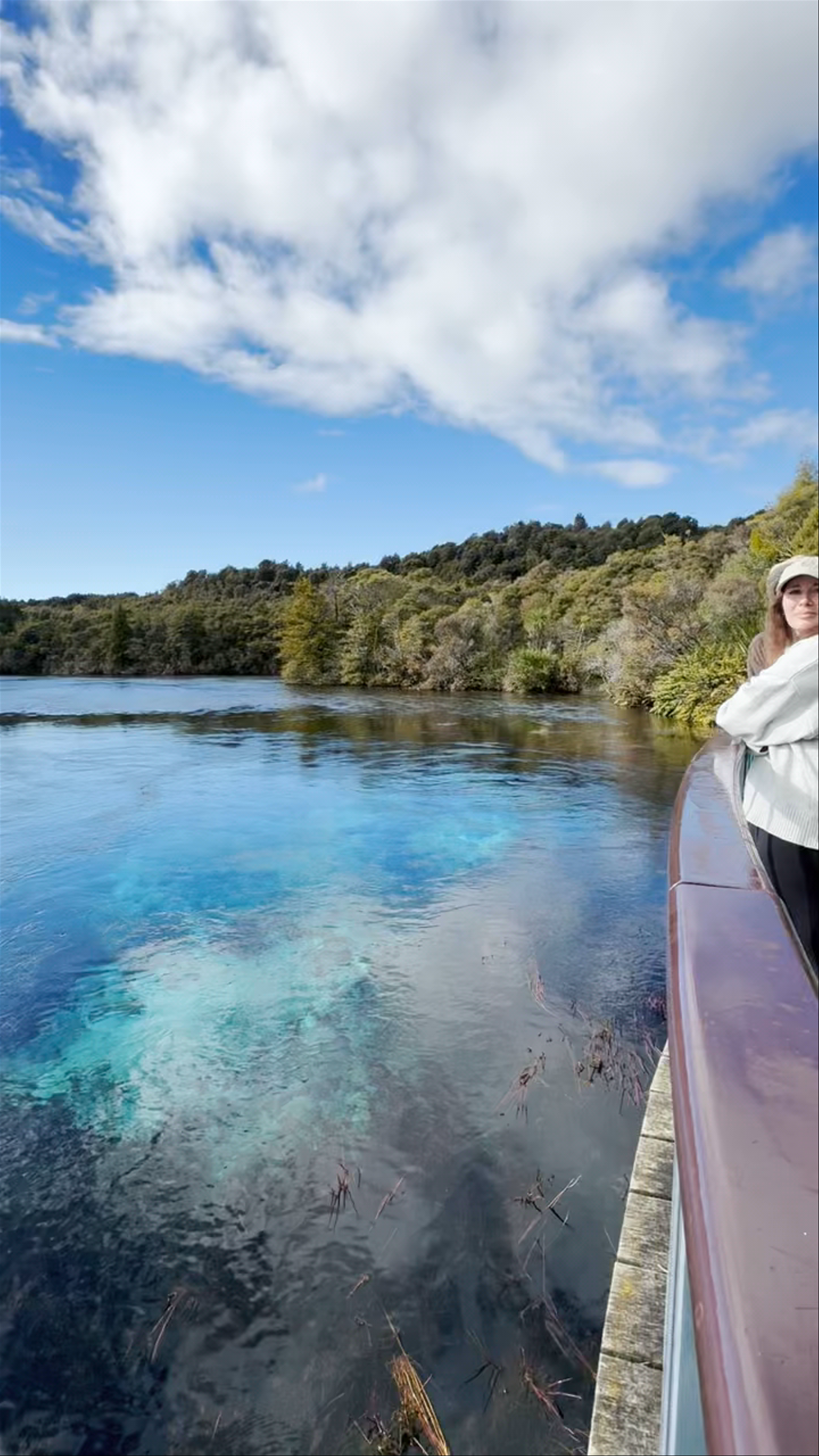 Te Waikoropupu Springs Pupu Springs Road