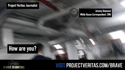 Video Thumbnail Loop