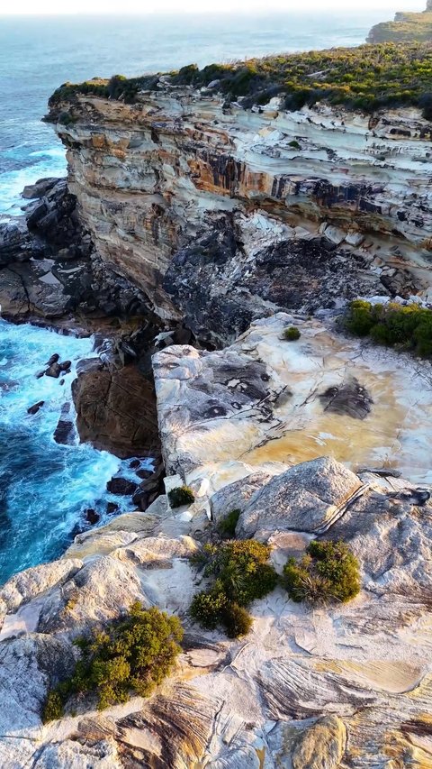 Royal National Park
