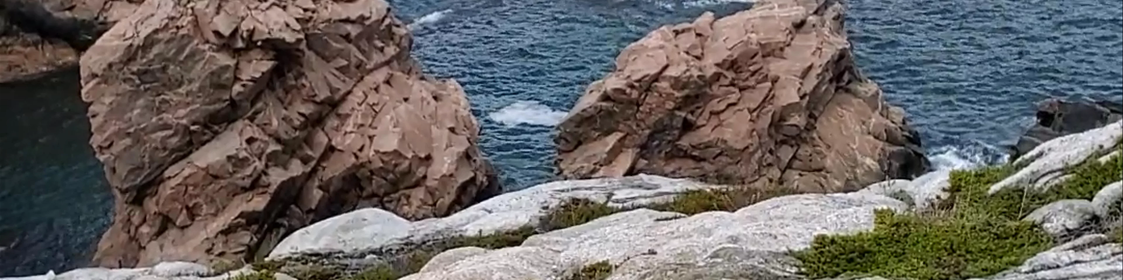 White Point