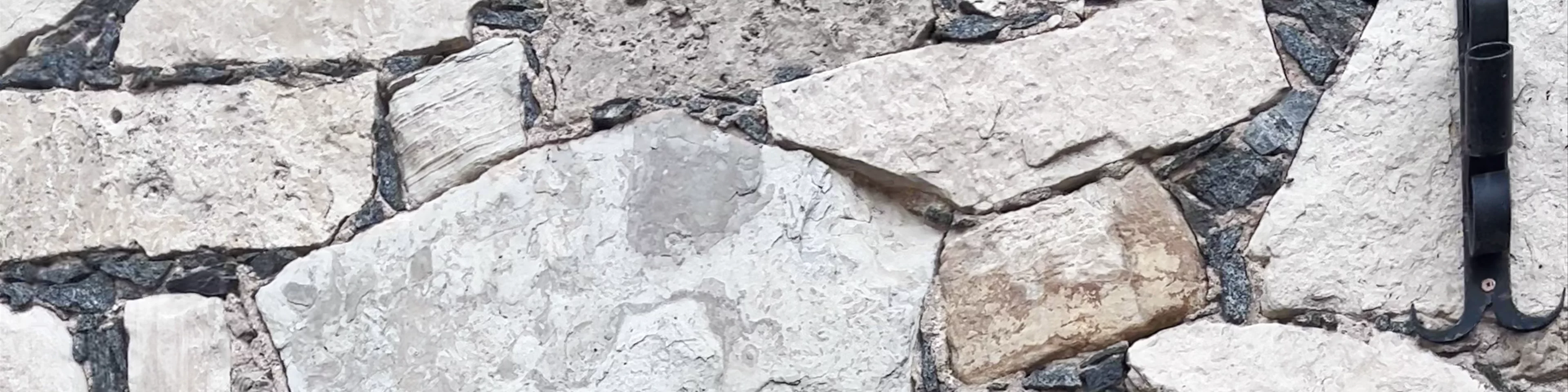 Plavinu Romas katolu draudze
