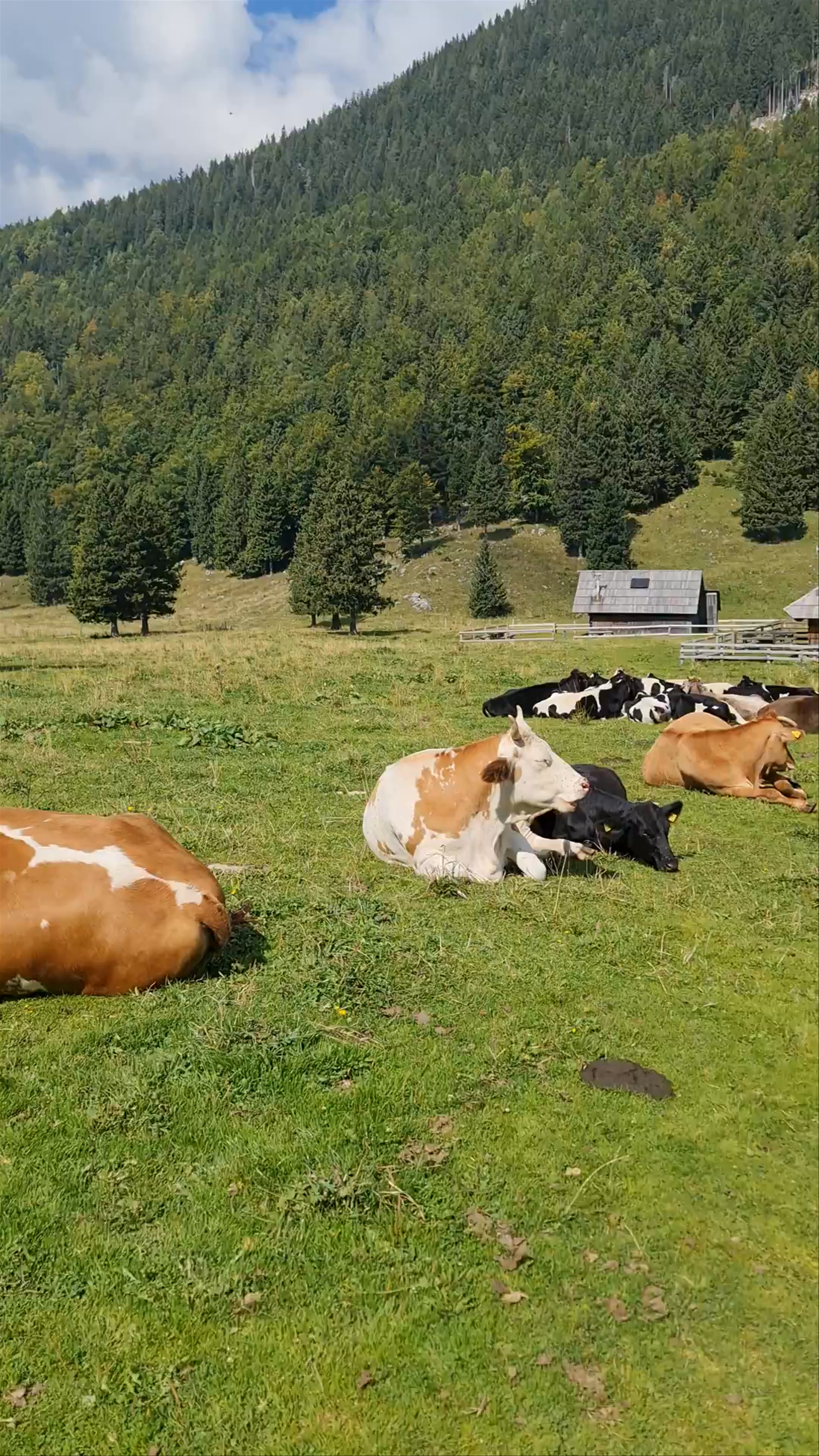 Kamnik-Savinja Alps