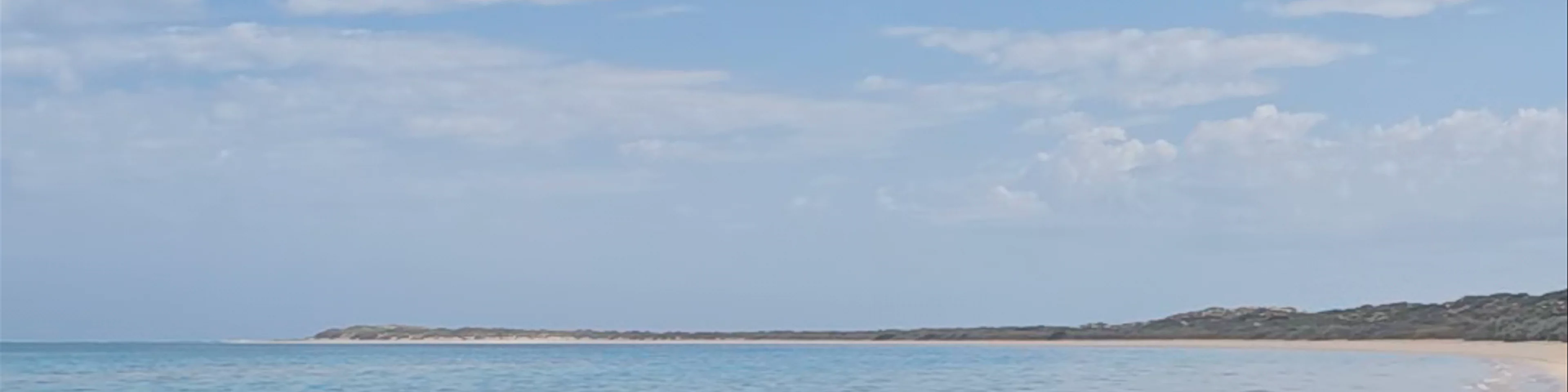 Shark Sanctuary