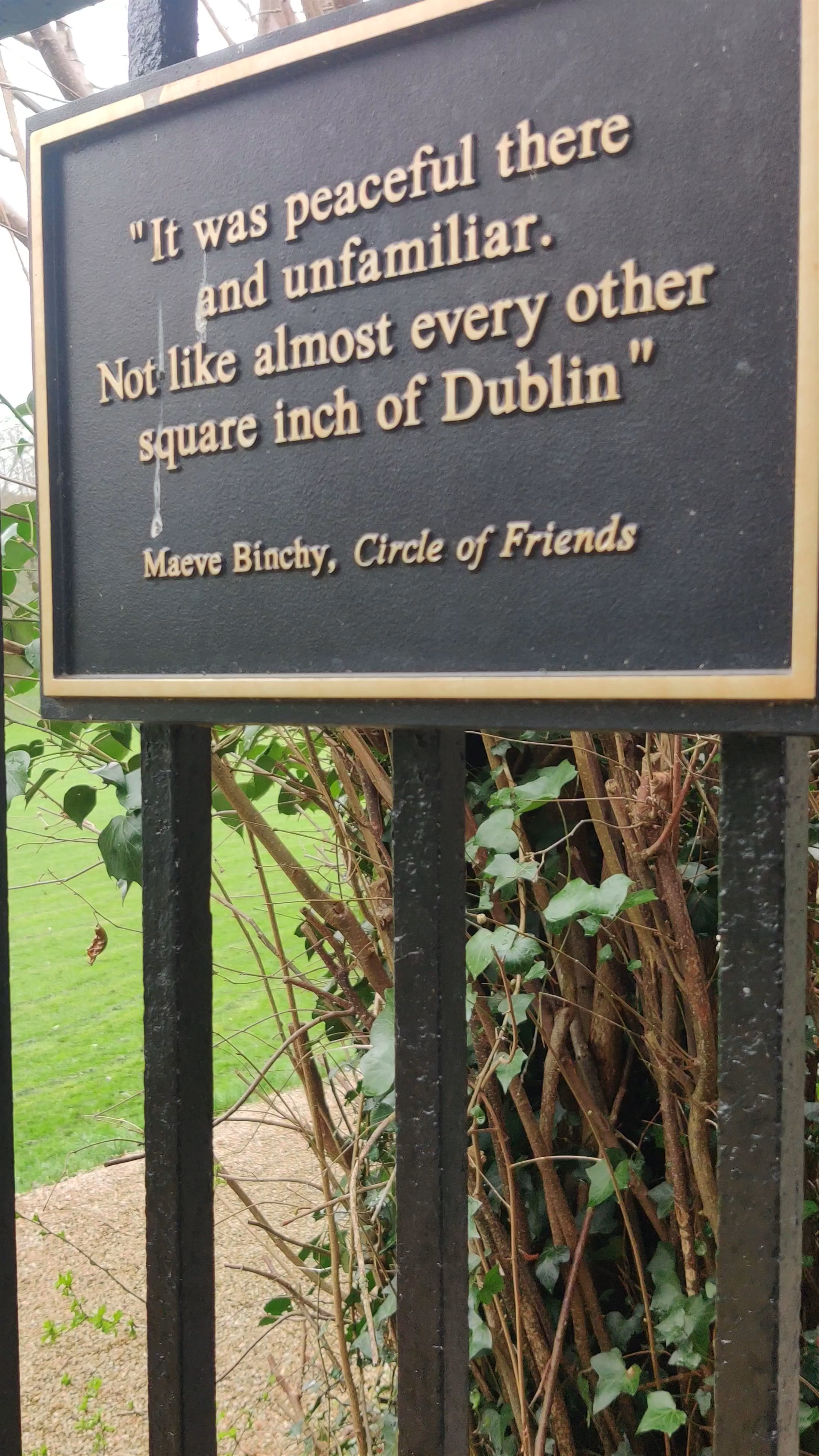 Iveagh Gardens: A Serene Hidden Gem in Dublin