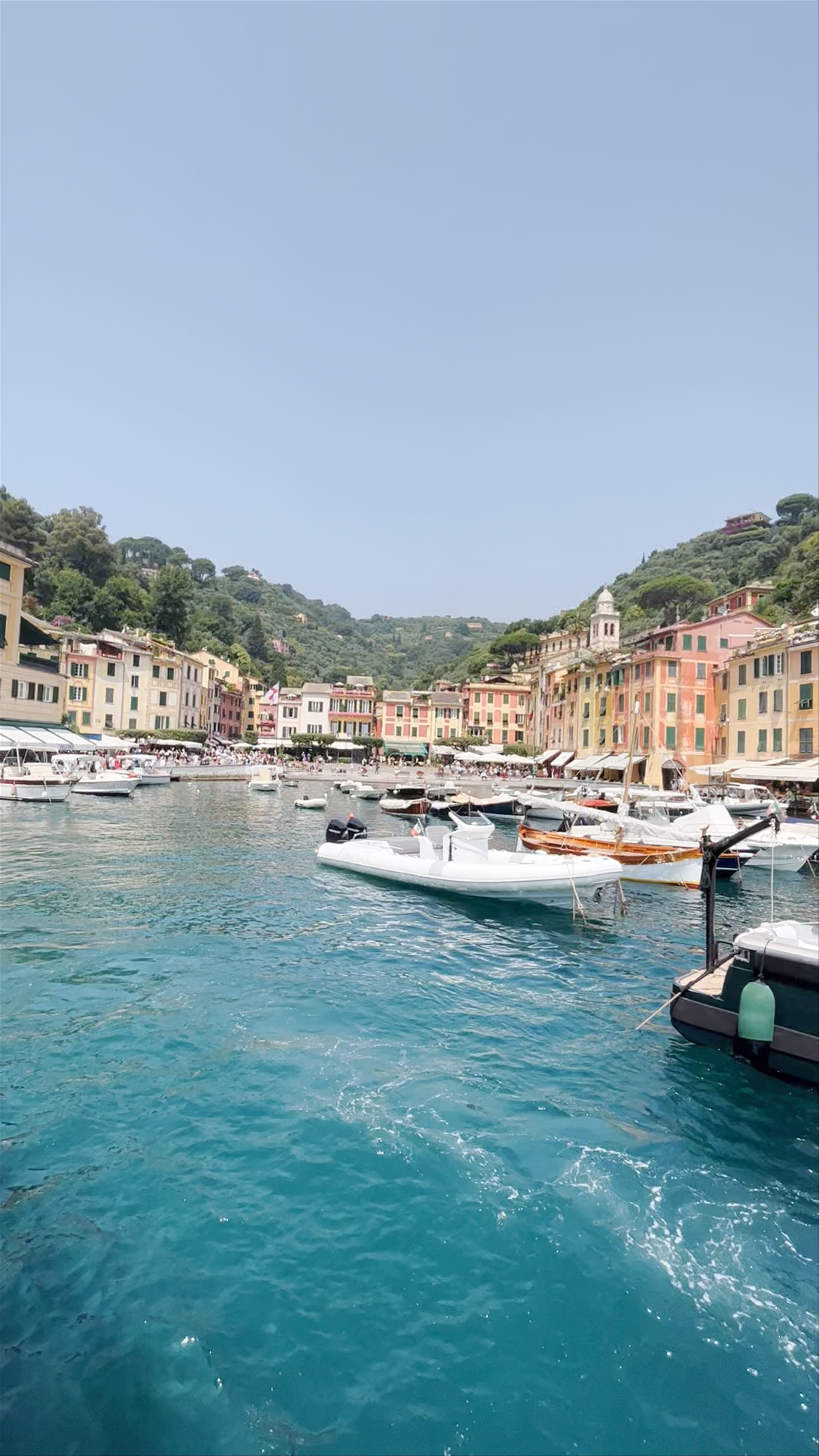 Freedive Portofino