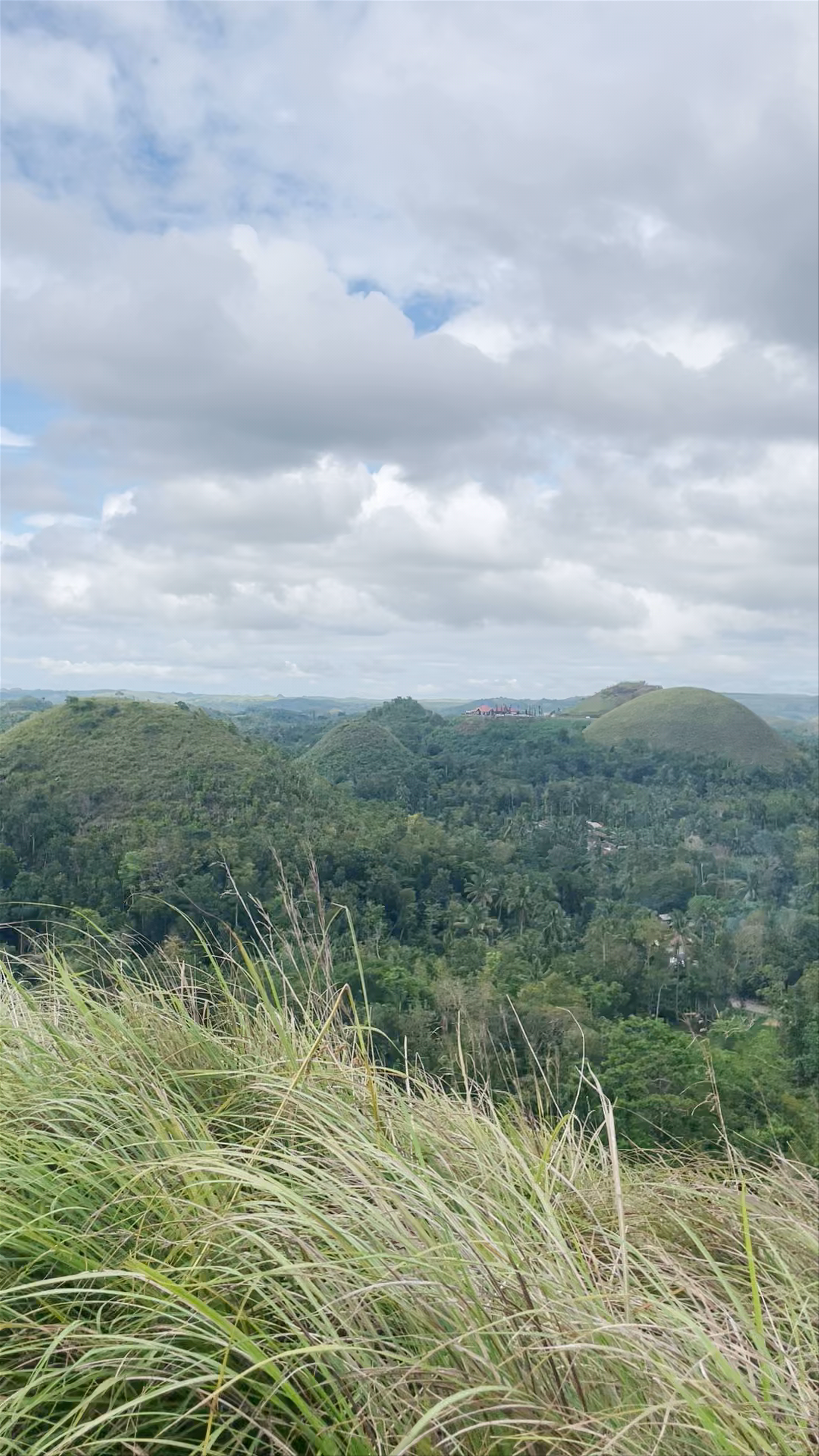 Chocolate Hills Natural Monument