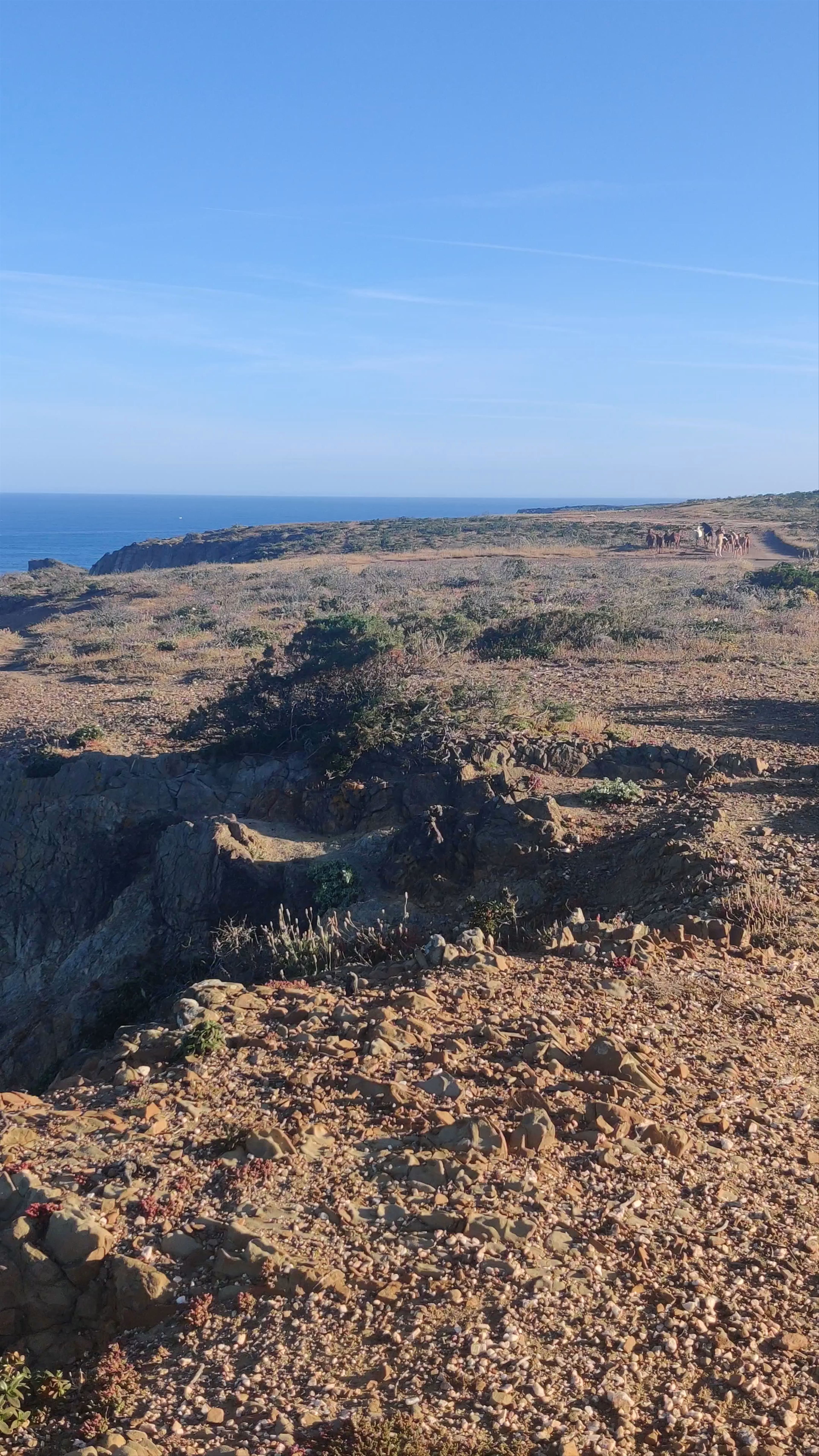 Praia da Arrifana: Rugged Coastal Beauty in Portugal