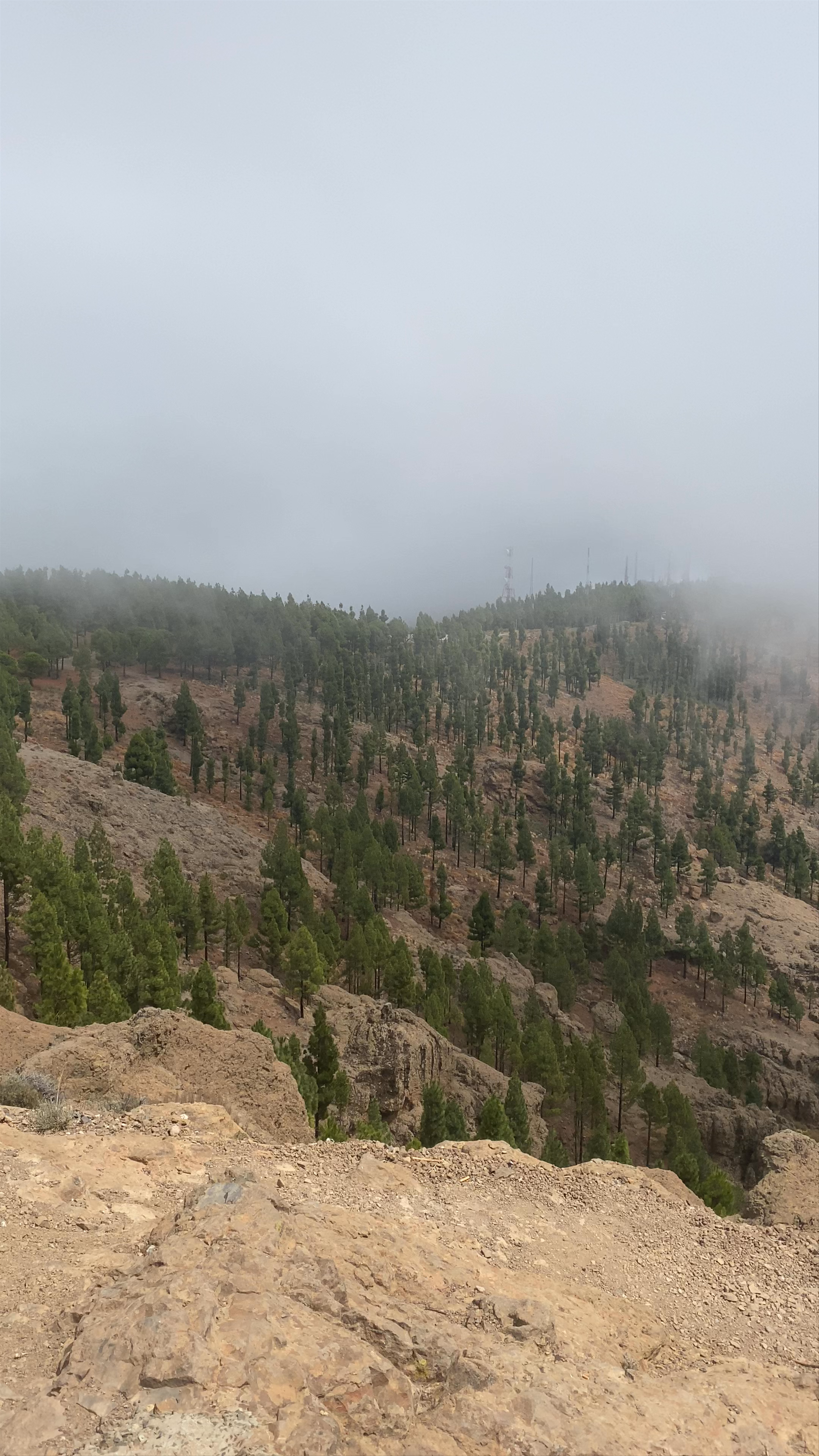 Pico De Las Nieves Photo Point: Mystical Mountain Views in Tejeda, Spain