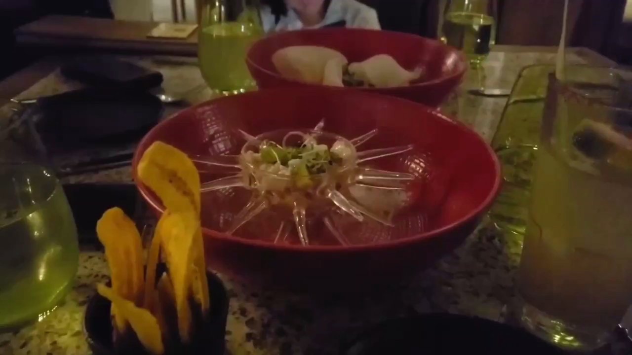 Casa Mia - Casa Mia house ceviche - Food Trucks Near Me - Cancún, ROO