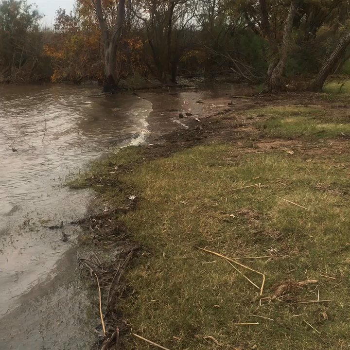 lake wichita - Very windy out but pretty tranquil listening to the water. - Parks Near Me - Wichita Falls, Texas