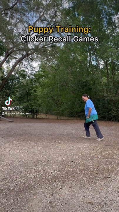 Casper's Camp Hope - Naomi, Casper's Camp Hope Gainesville Dog Training, puppy trainer. Playing chase and recall games with puppy. - Pet Training Near Me - Gainesville, Florida