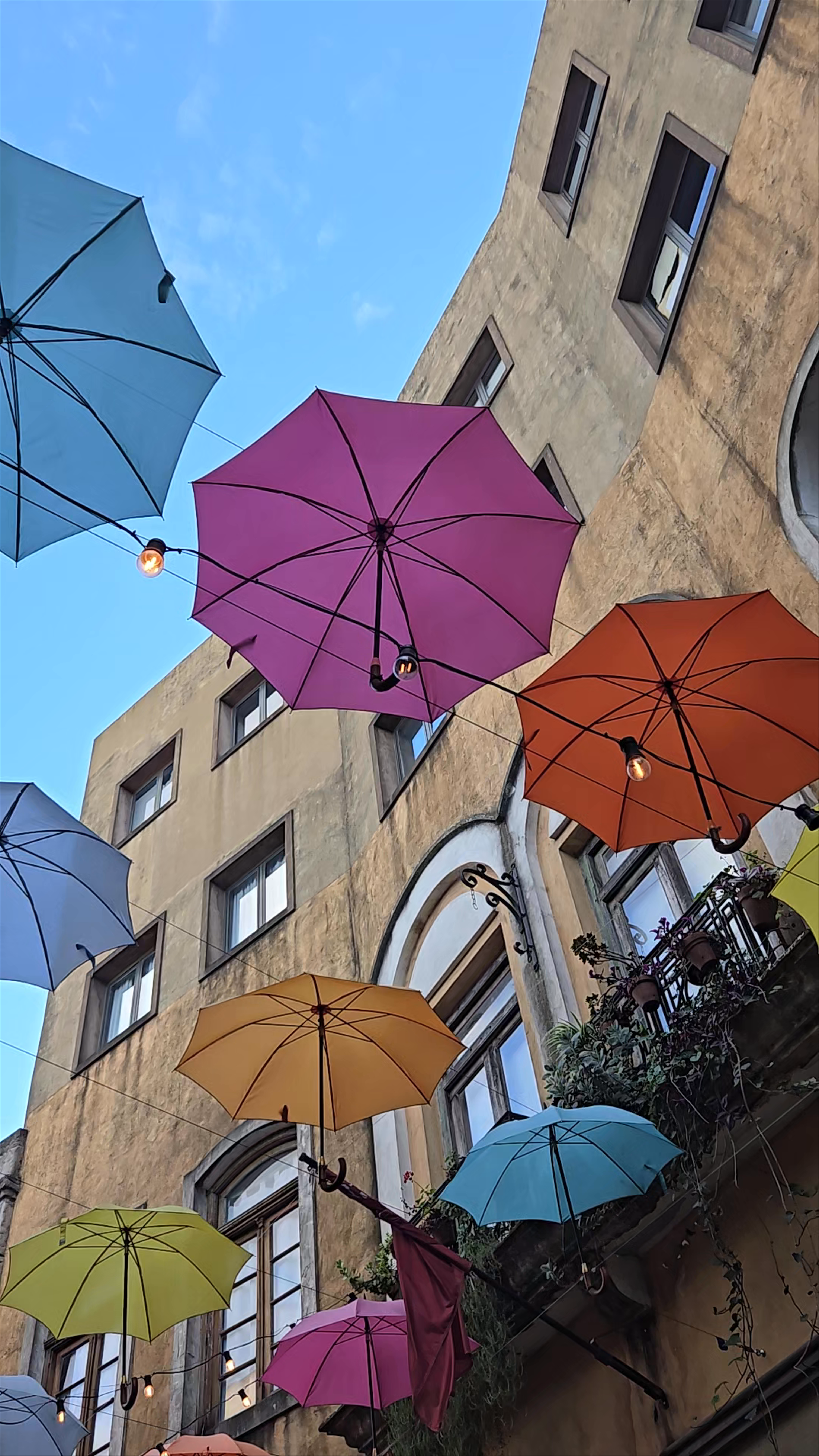 Colorful Umbrella Canopy at Plaza Canning, Canning, Argentina