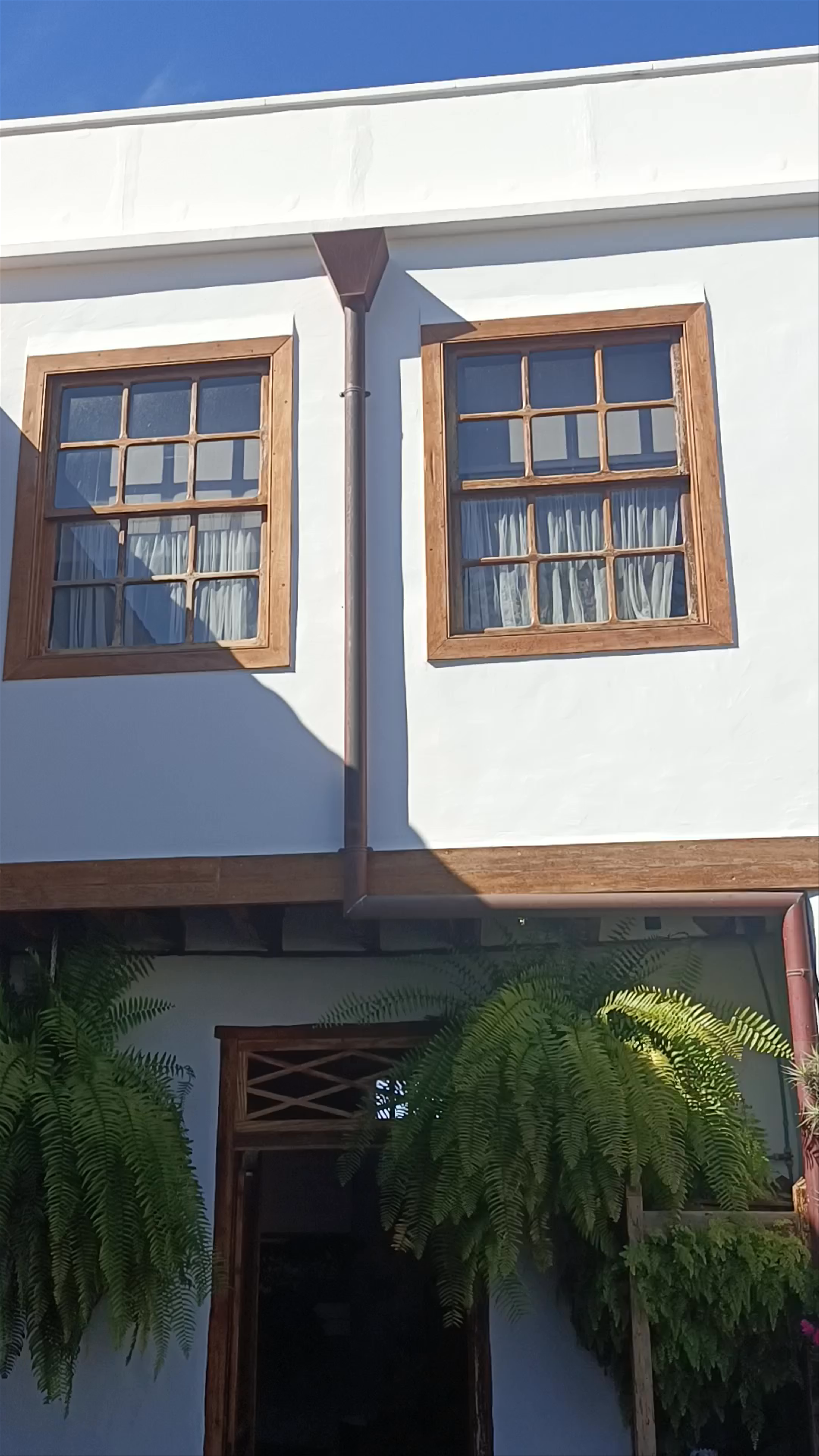 Casa del Plátano: Historic Charm and Botanical Tranquility in Icod de los Vinos