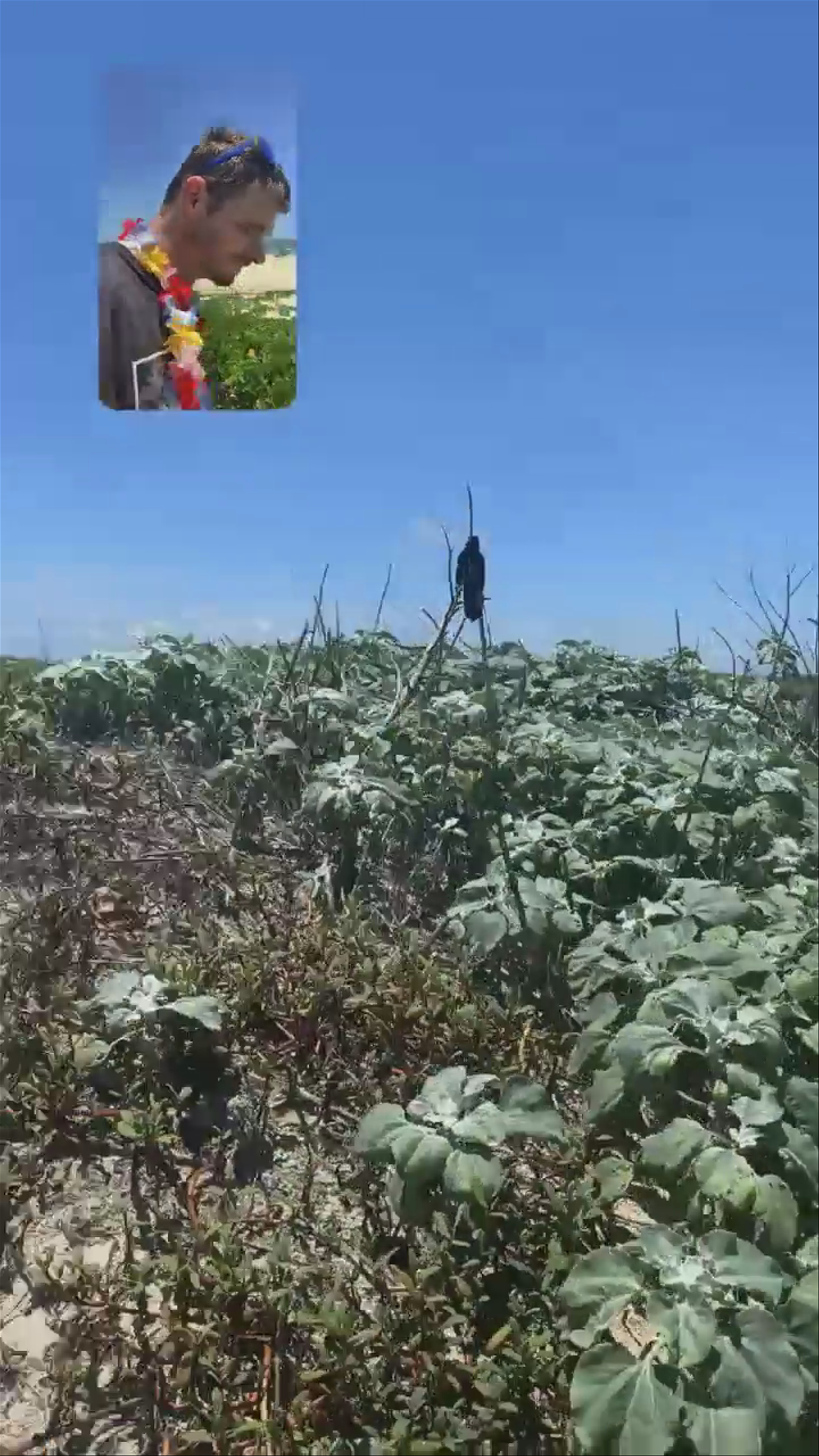 Bird does not want to be friends 