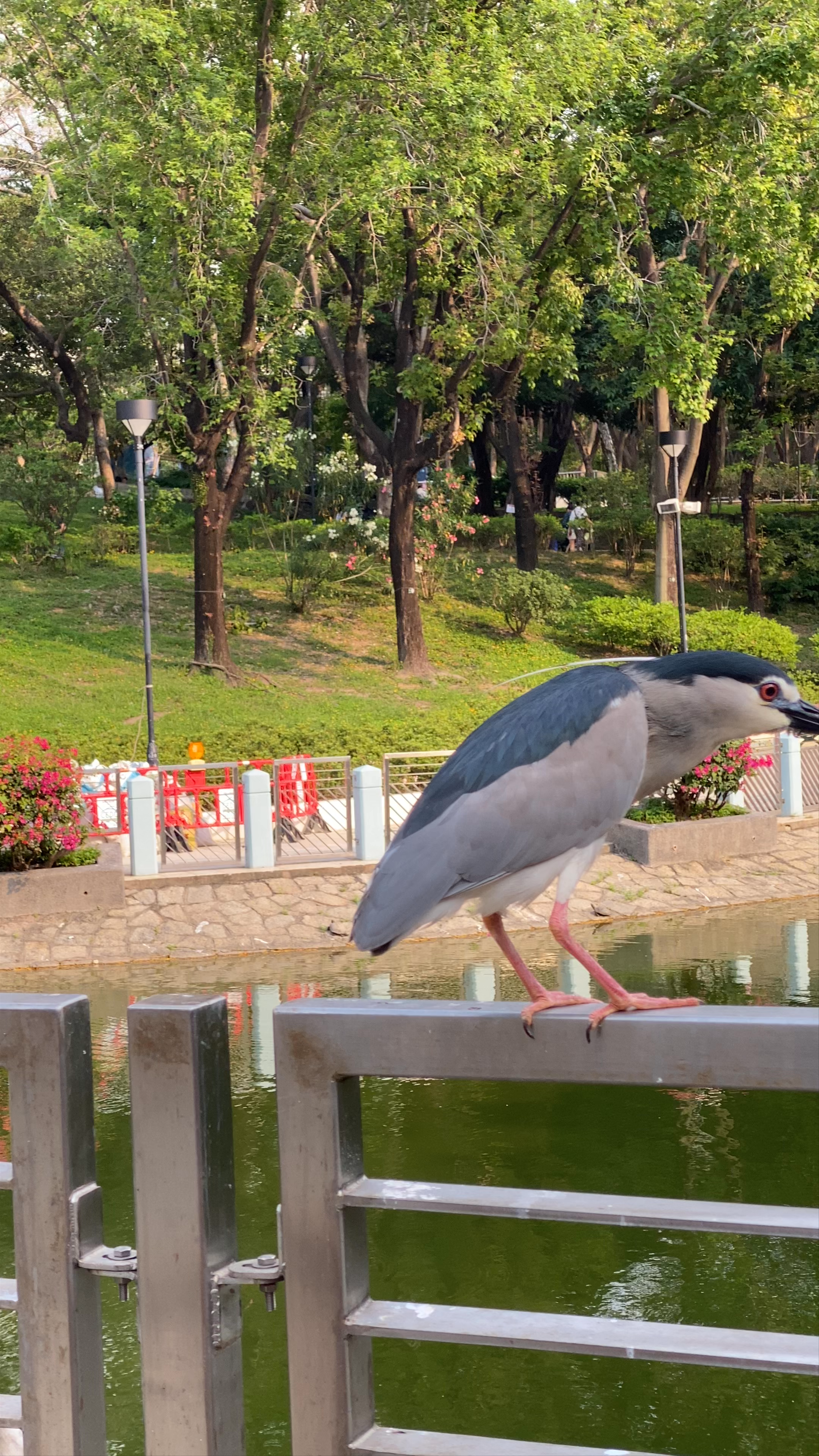 Tuen Mun Park