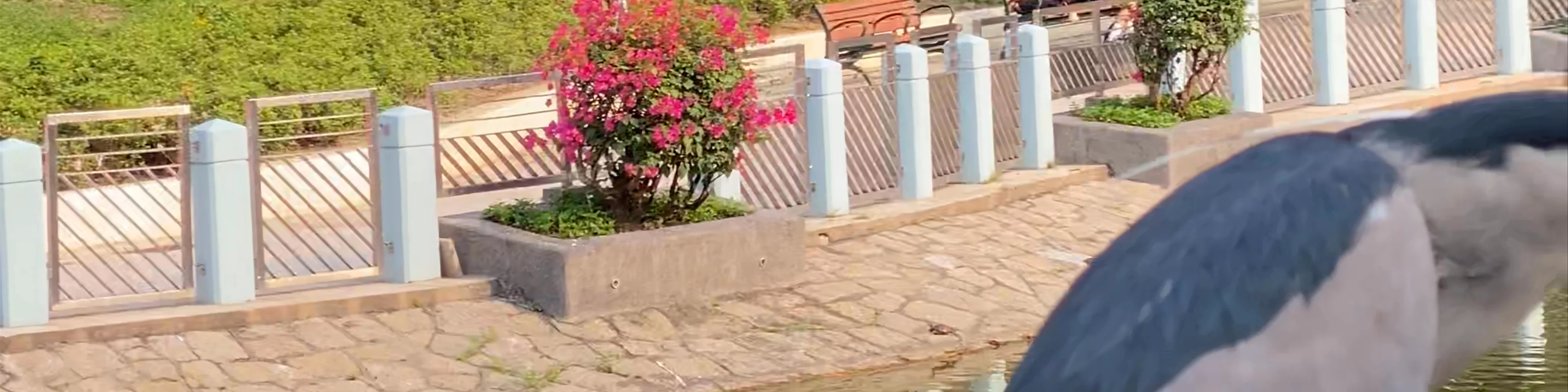 Tuen Mun Park