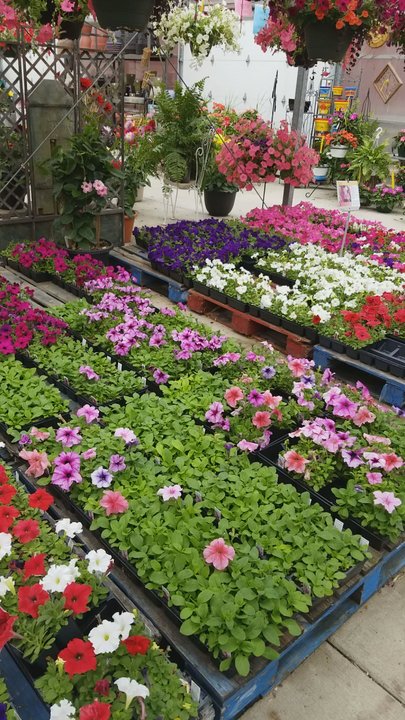 Altermatt John A - Farmers Market Near Me - Macomb, Michigan