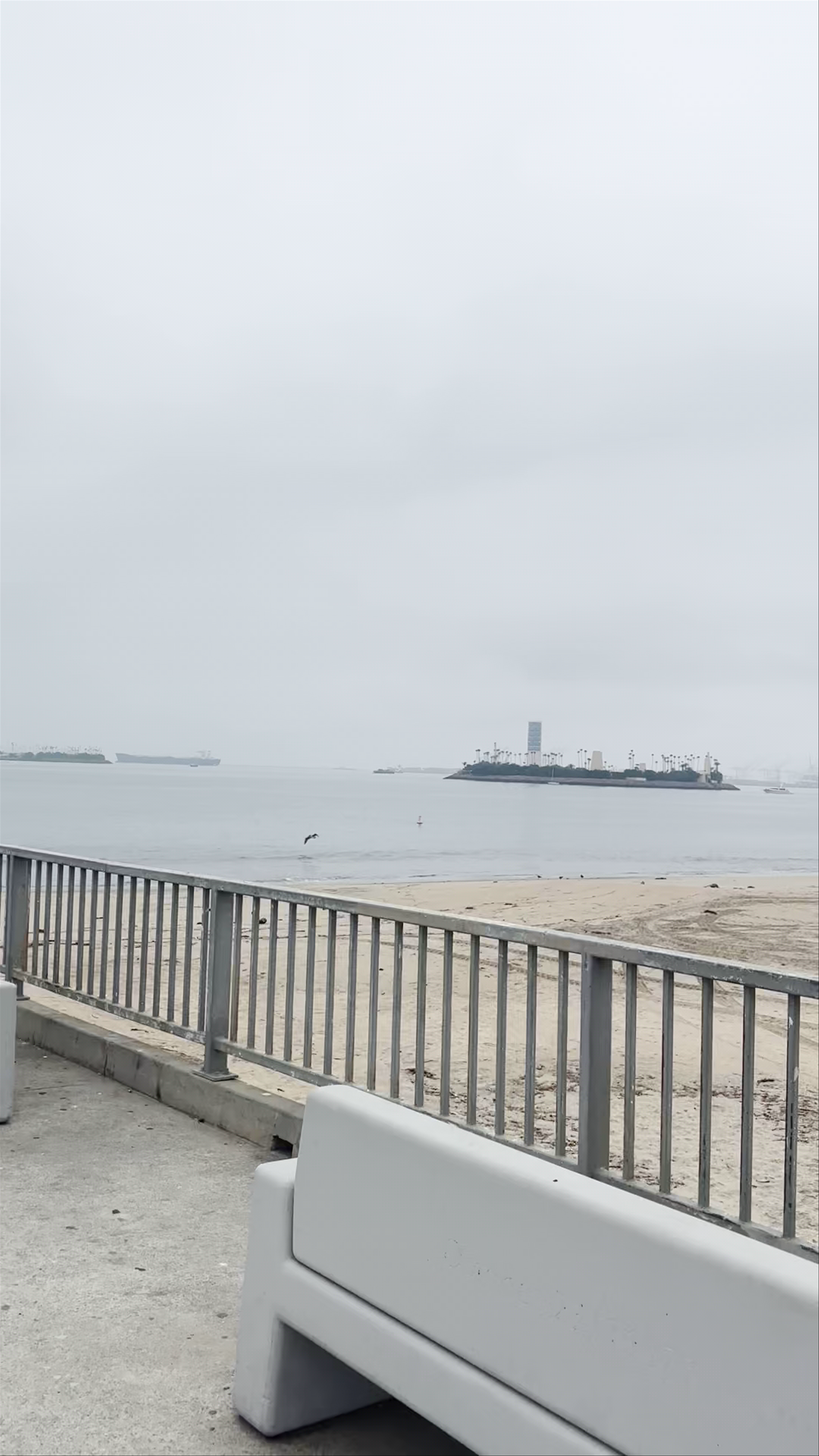 Belmont Veterans Memorial Pier