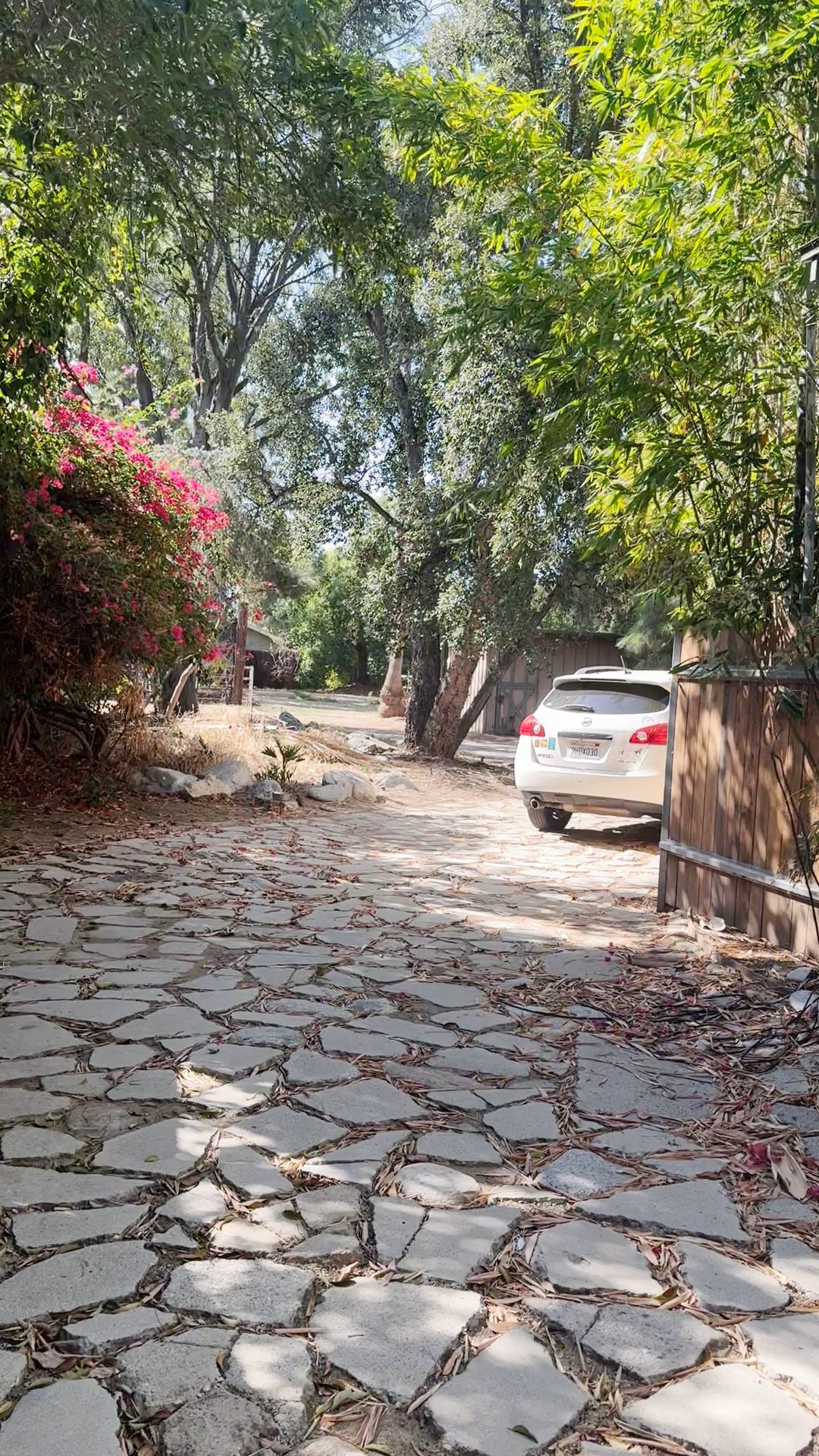 Listing photo-2