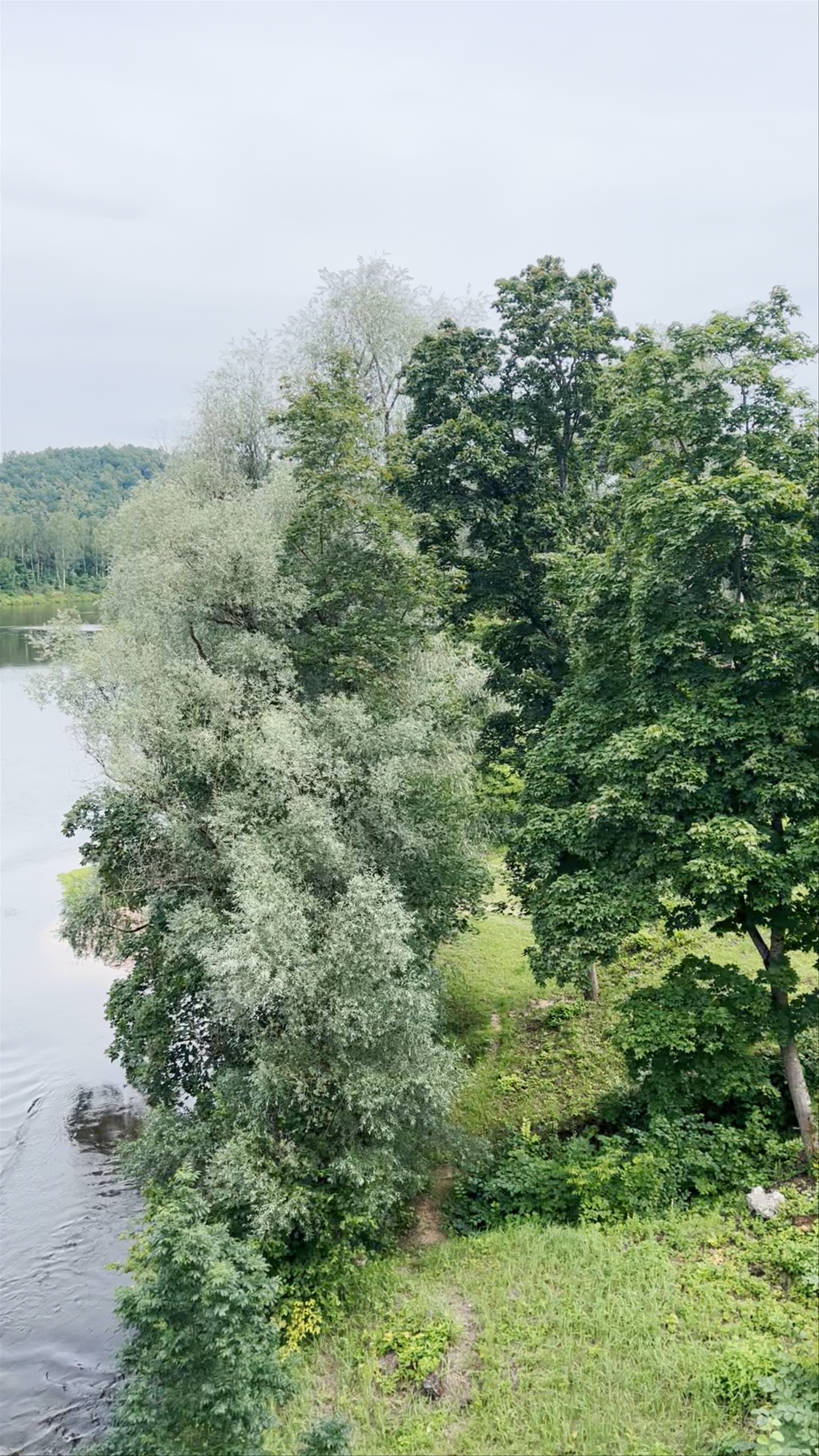 Gauja River Scenic Views & Bridge Walk in Valmiera, Latvia