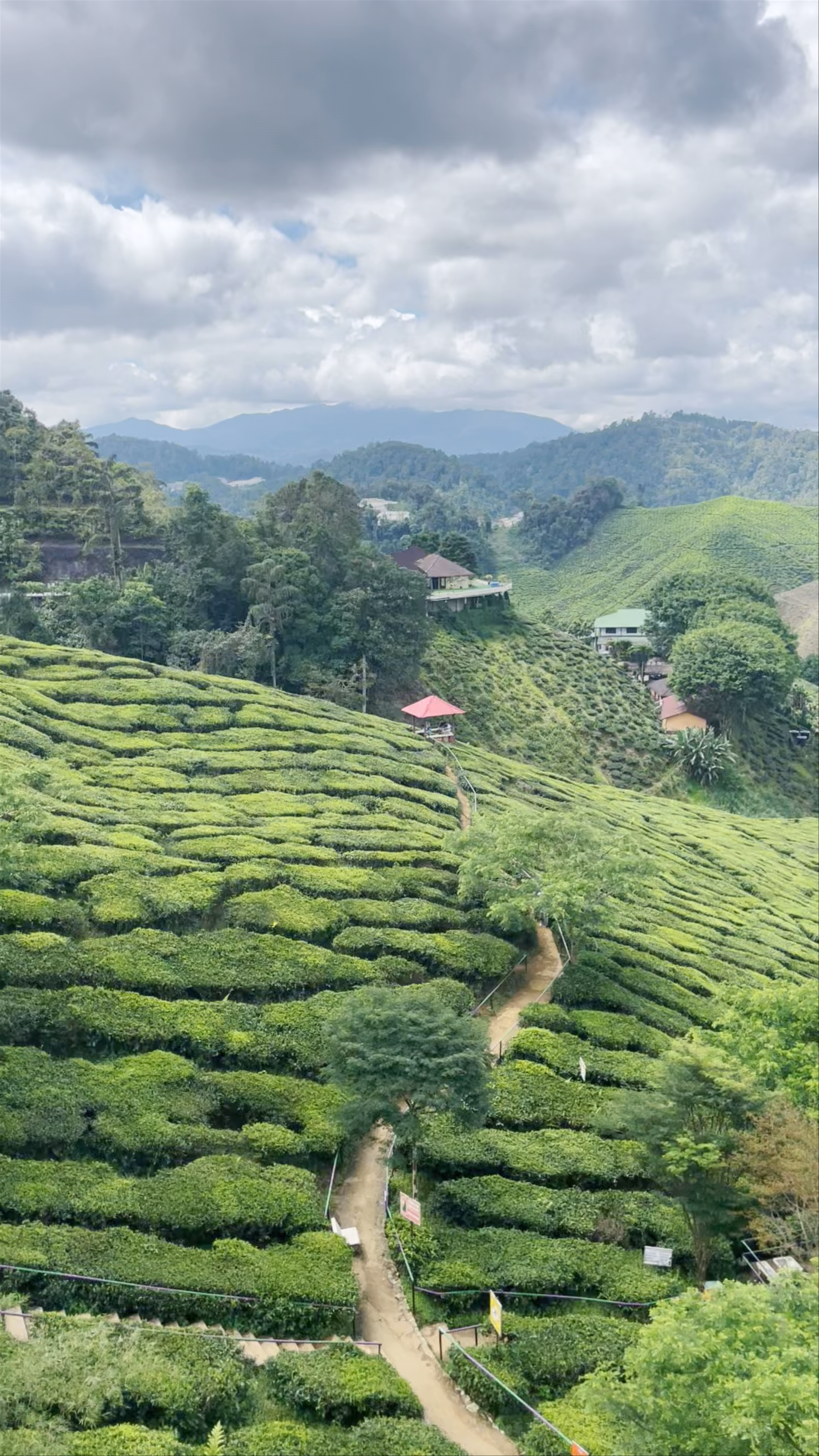 Cameron Valley Tea House 1