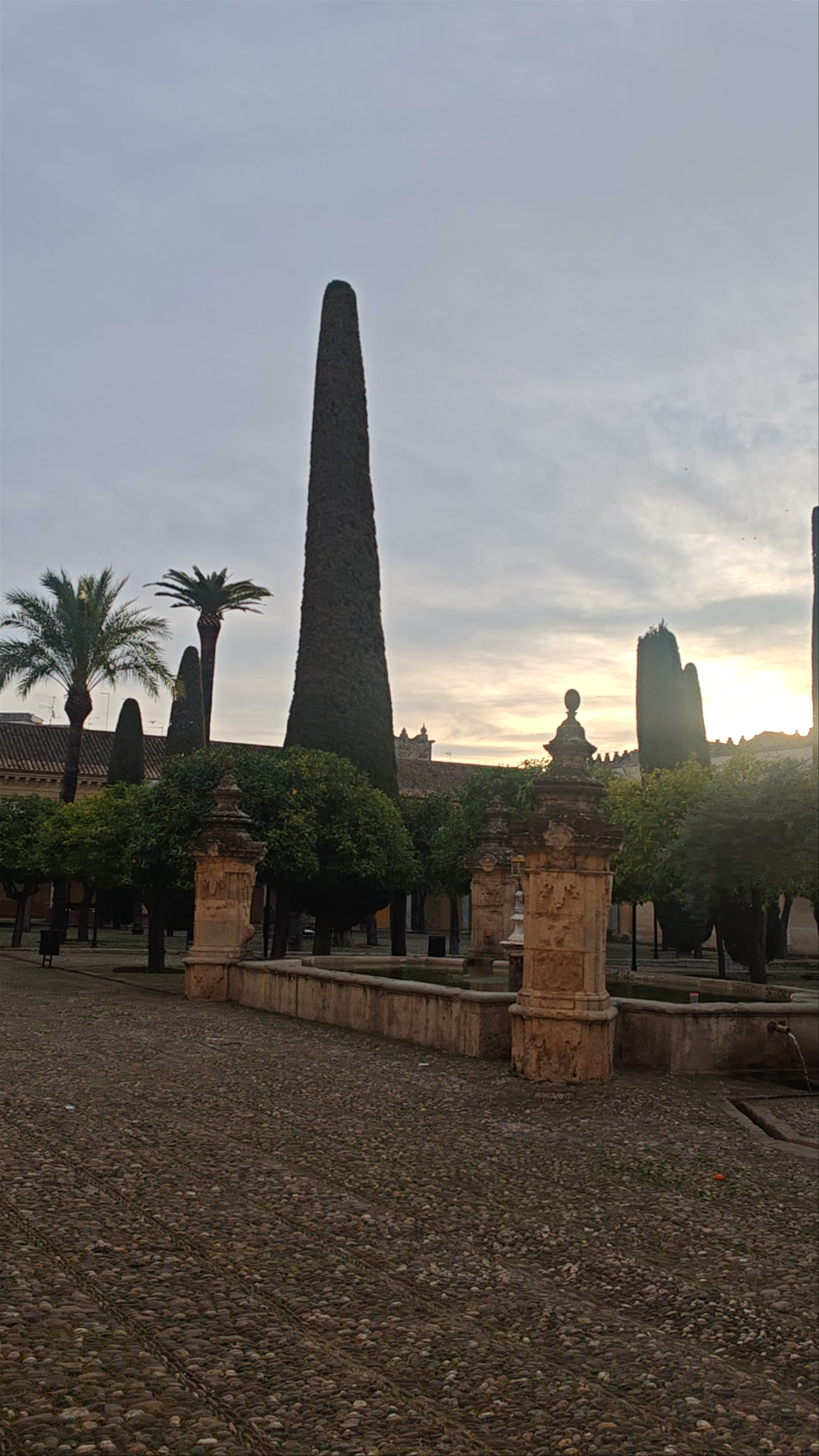 Patio de los Naranjos: Tranquil Garden Oasis in Córdoba, Spain