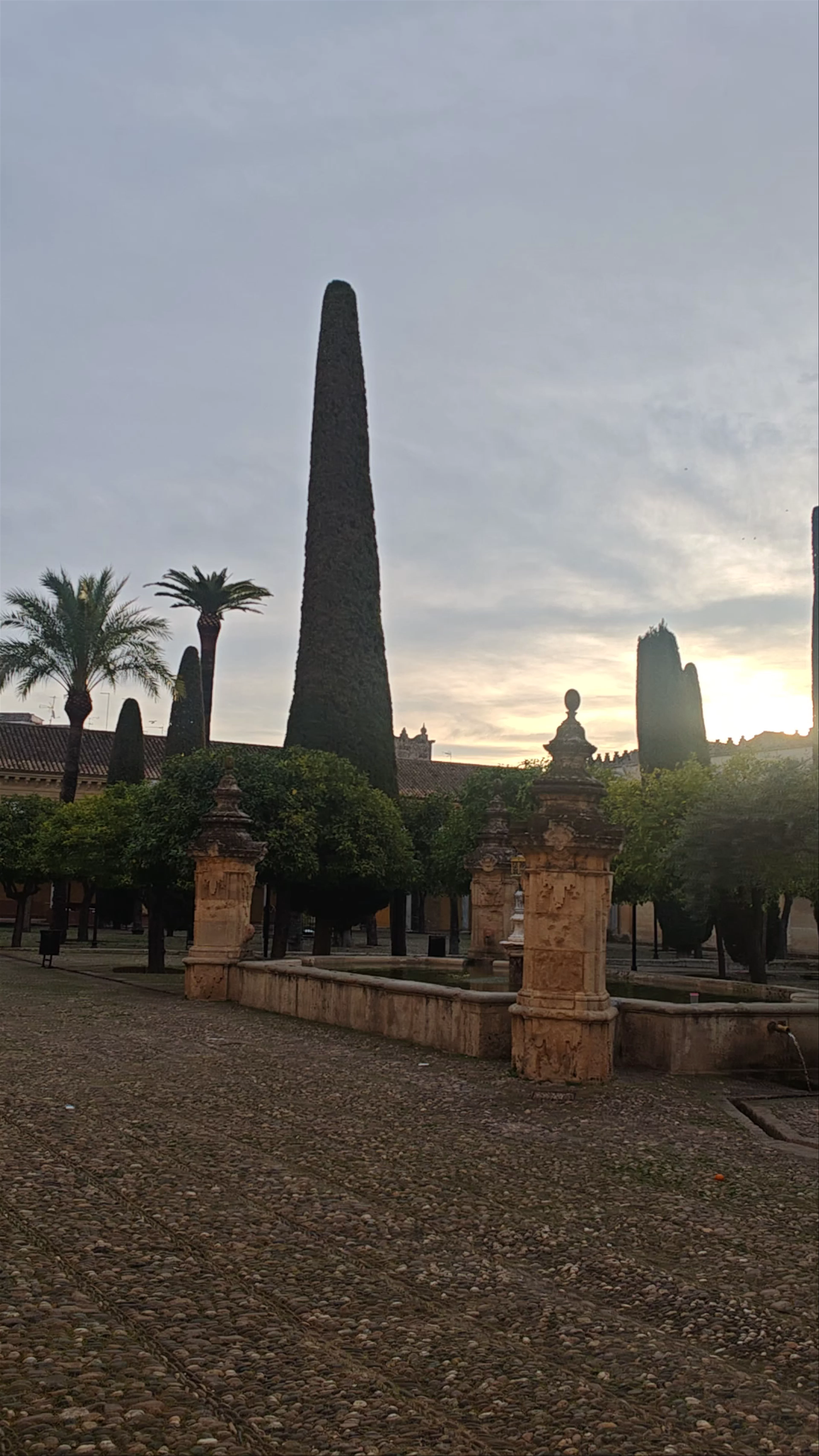 Patio de los Naranjos