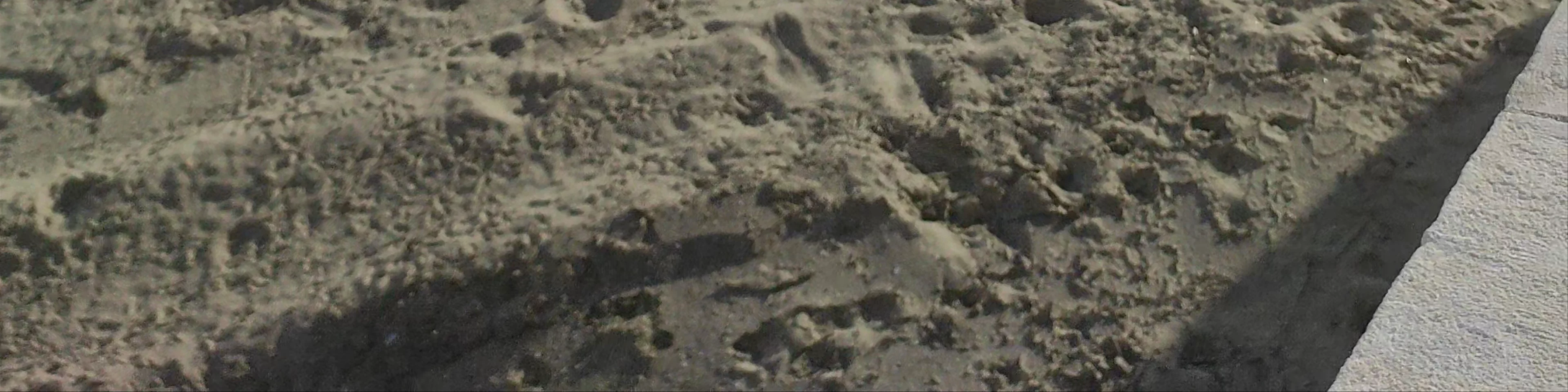 PLAYA LA SIRENA