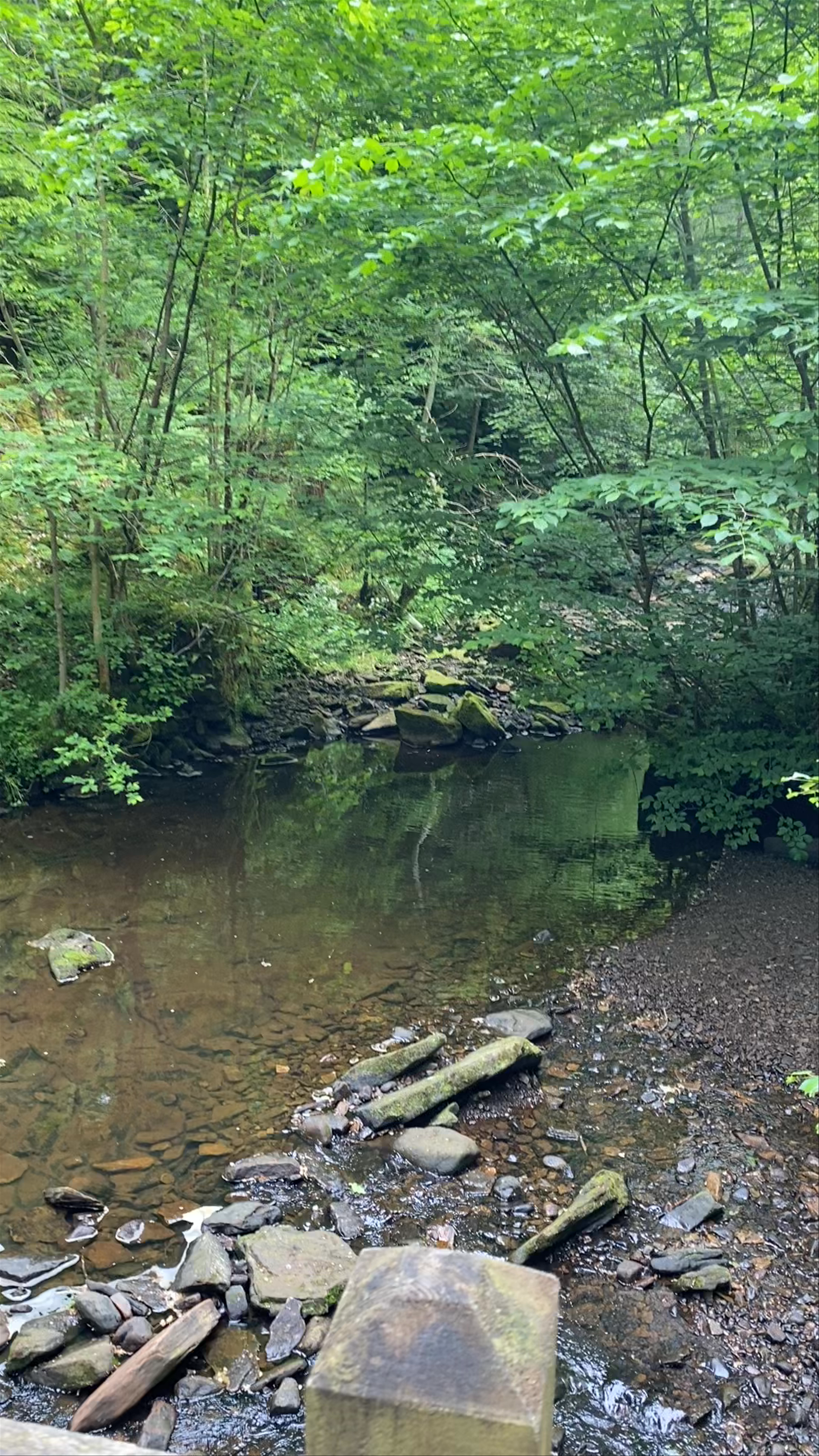 Hareshaw Linn Waterfall ~ Bellingham 