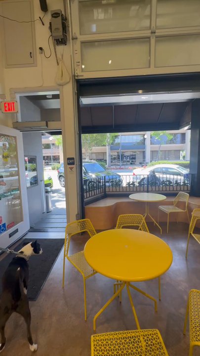 Groovy Goose Coffee - Coffee Roasteries Near Me - San Carlos, California