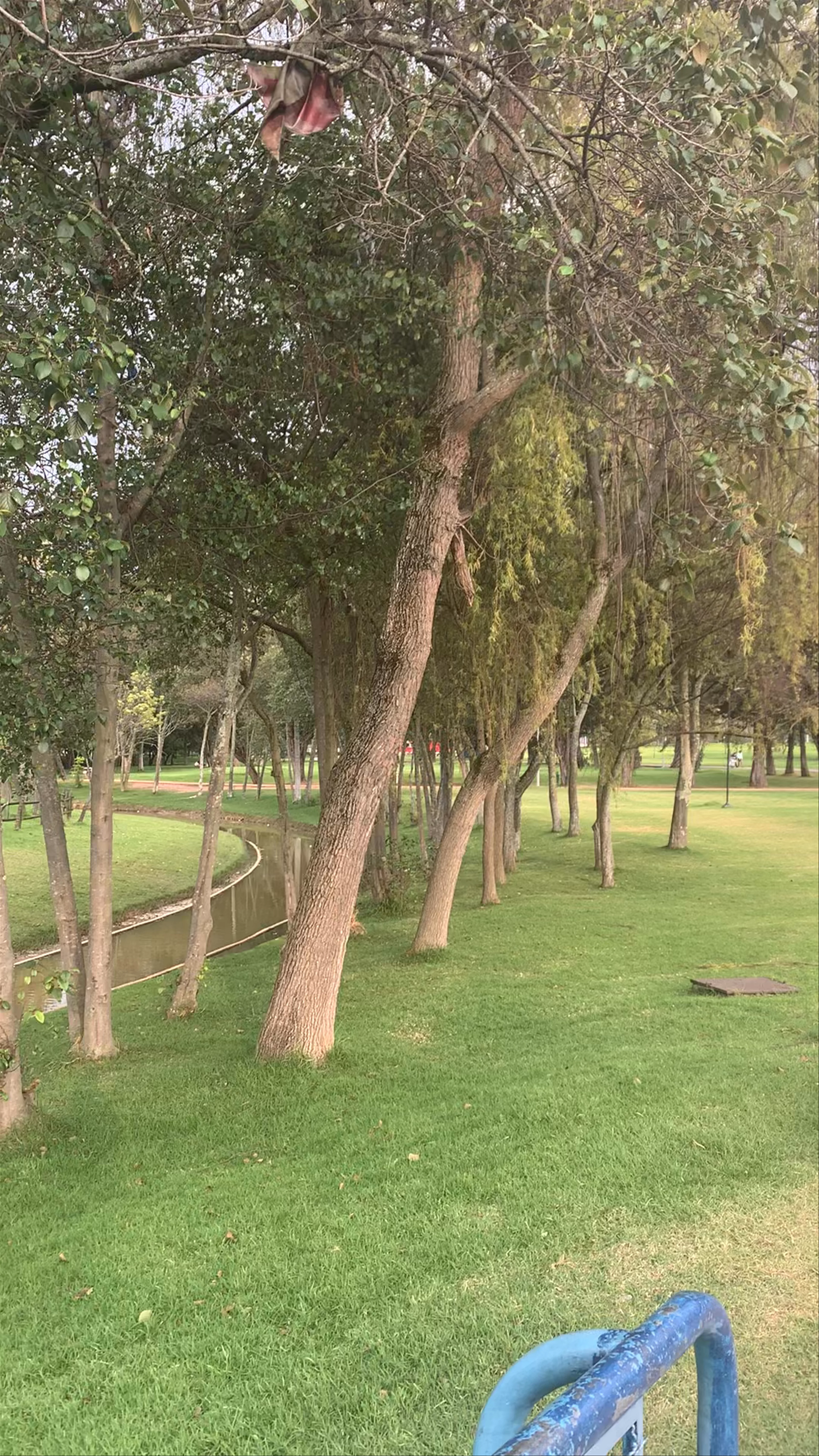 Playa Parque Central Simón Bolívar