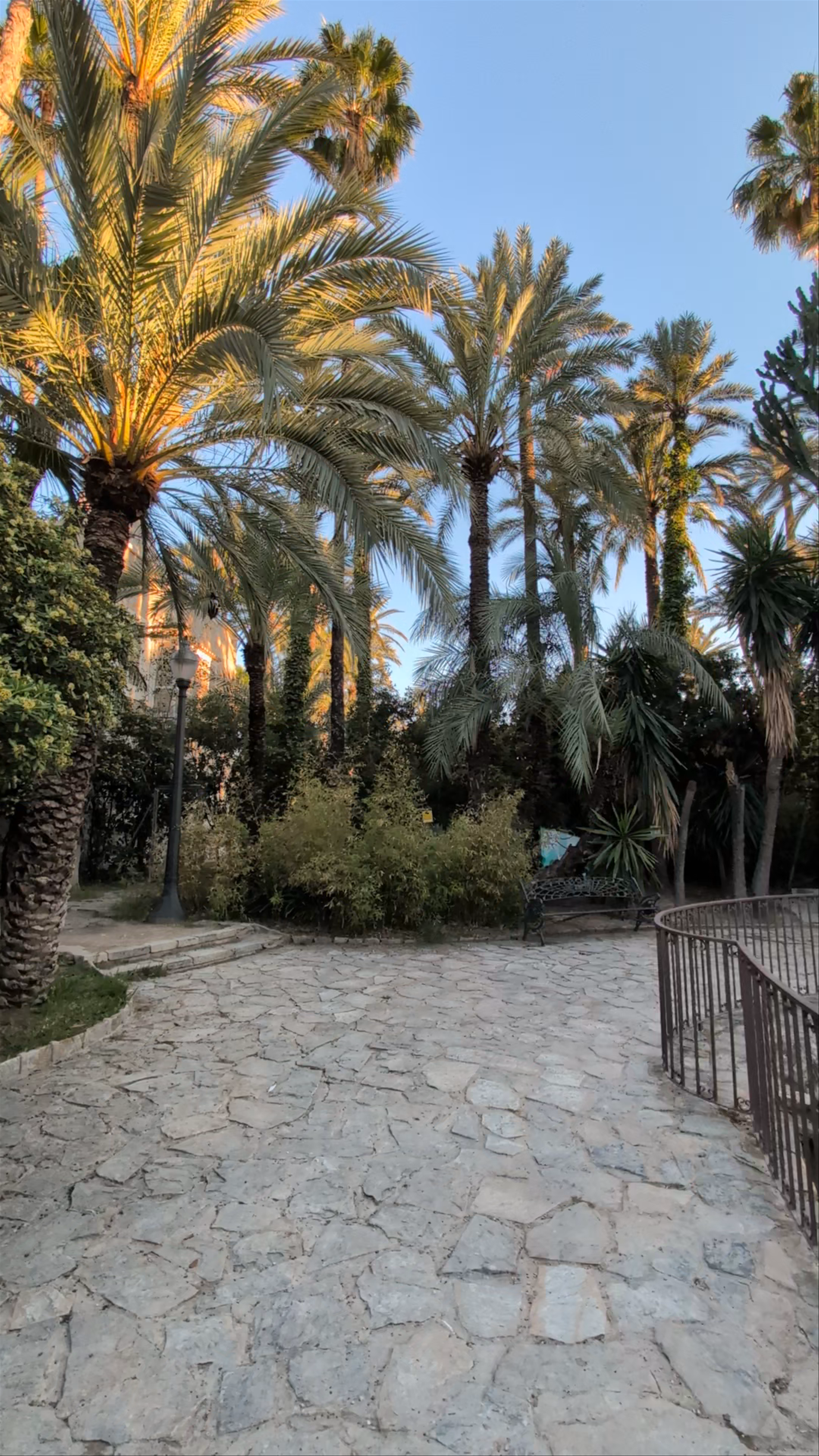 El Palmeral de Elche