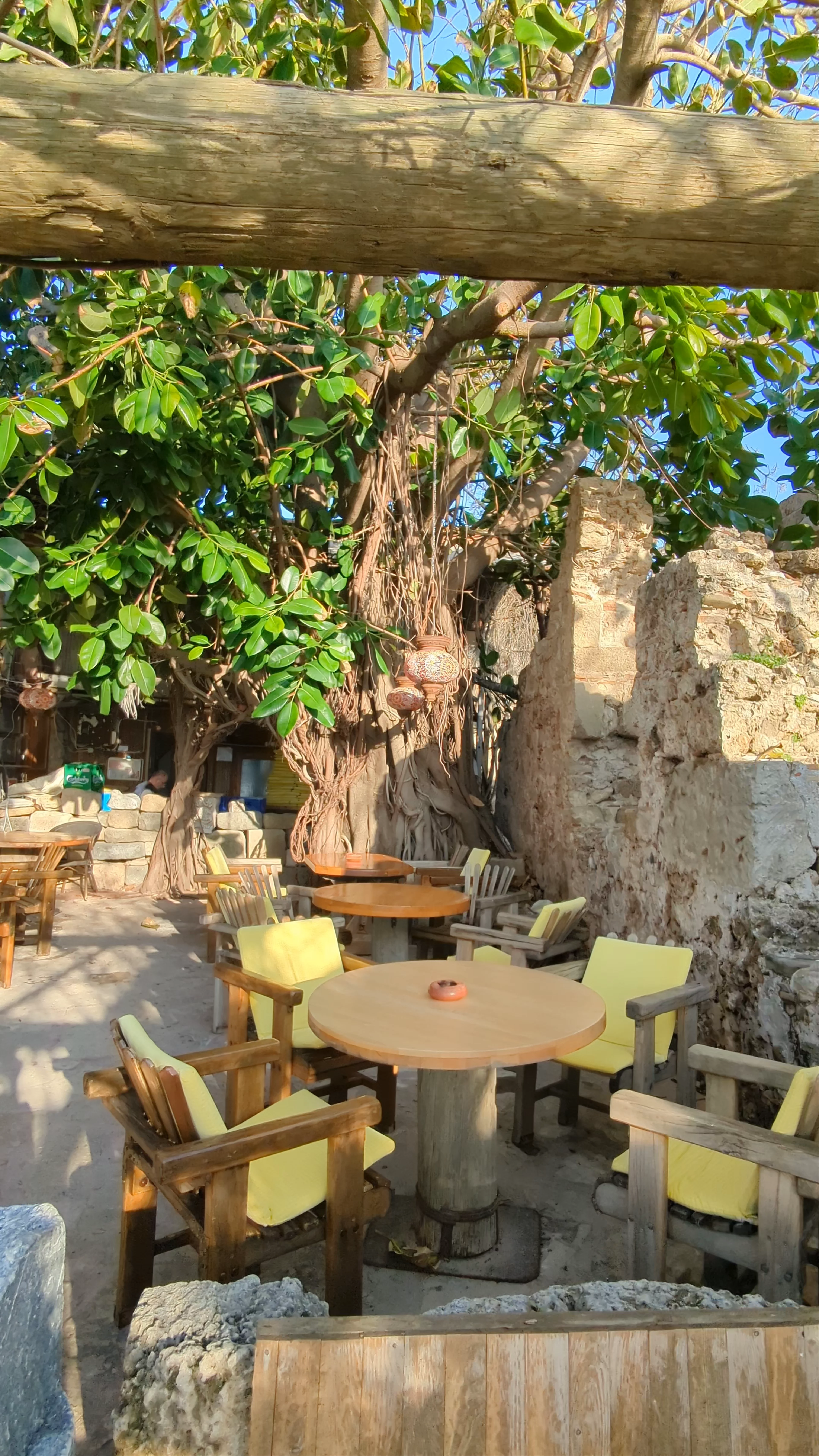 Apollonik Cafe