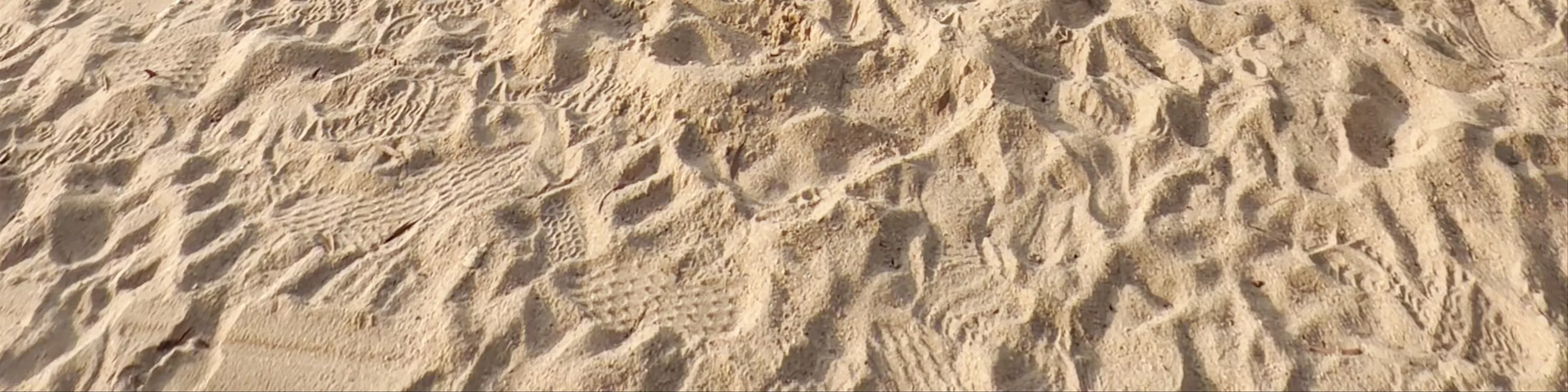 Chung Hom Kok Beach