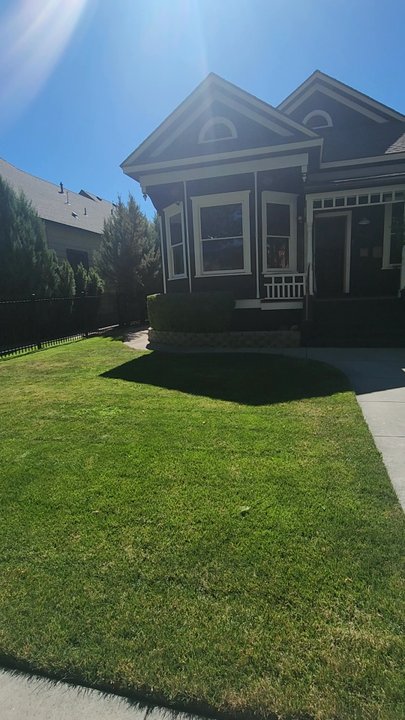 Flow Designs - Front of the house - Interior Design Near Me - Reno, Nevada