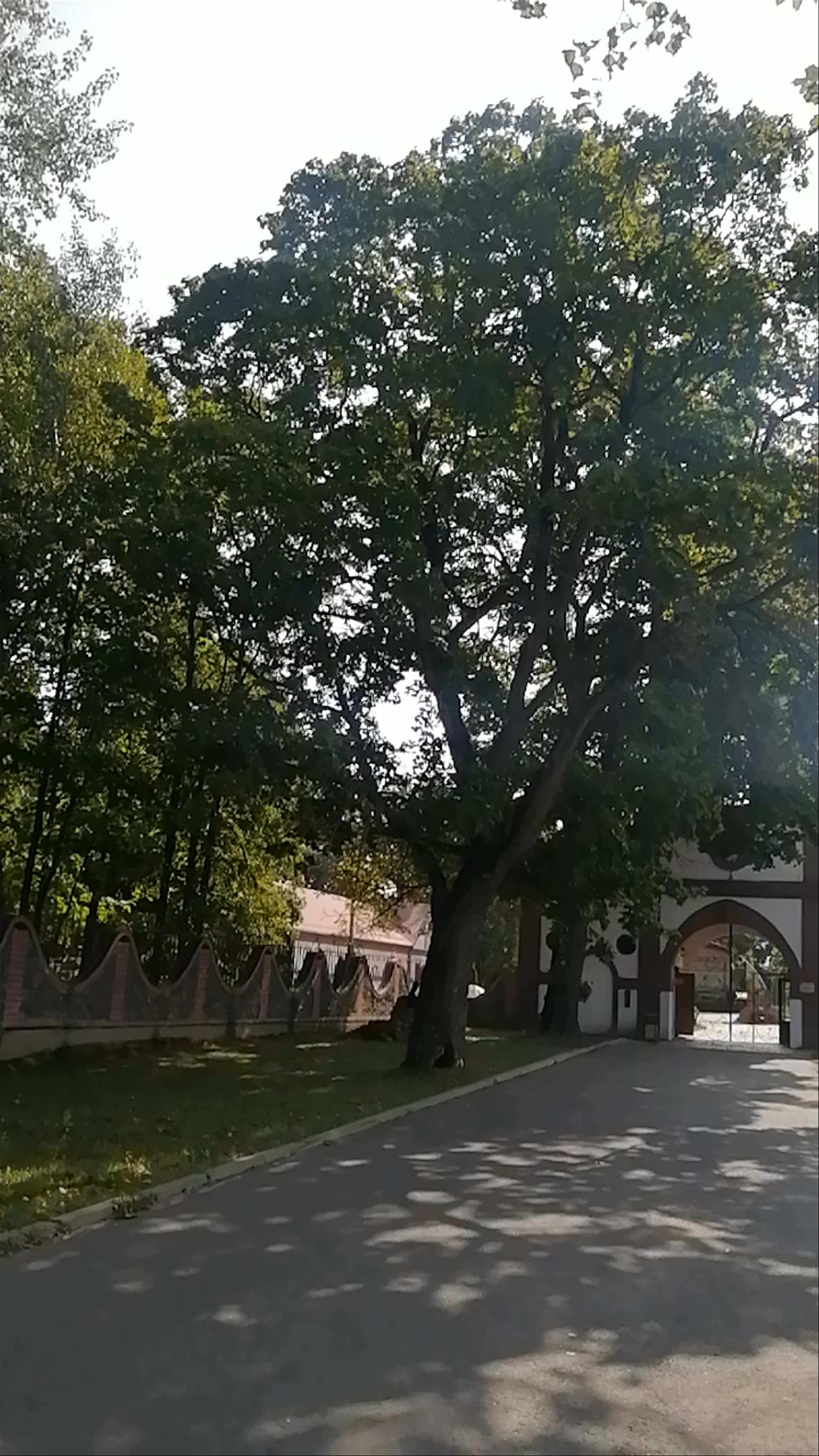 Dukorski Mayontak (Dukora Estate) museum