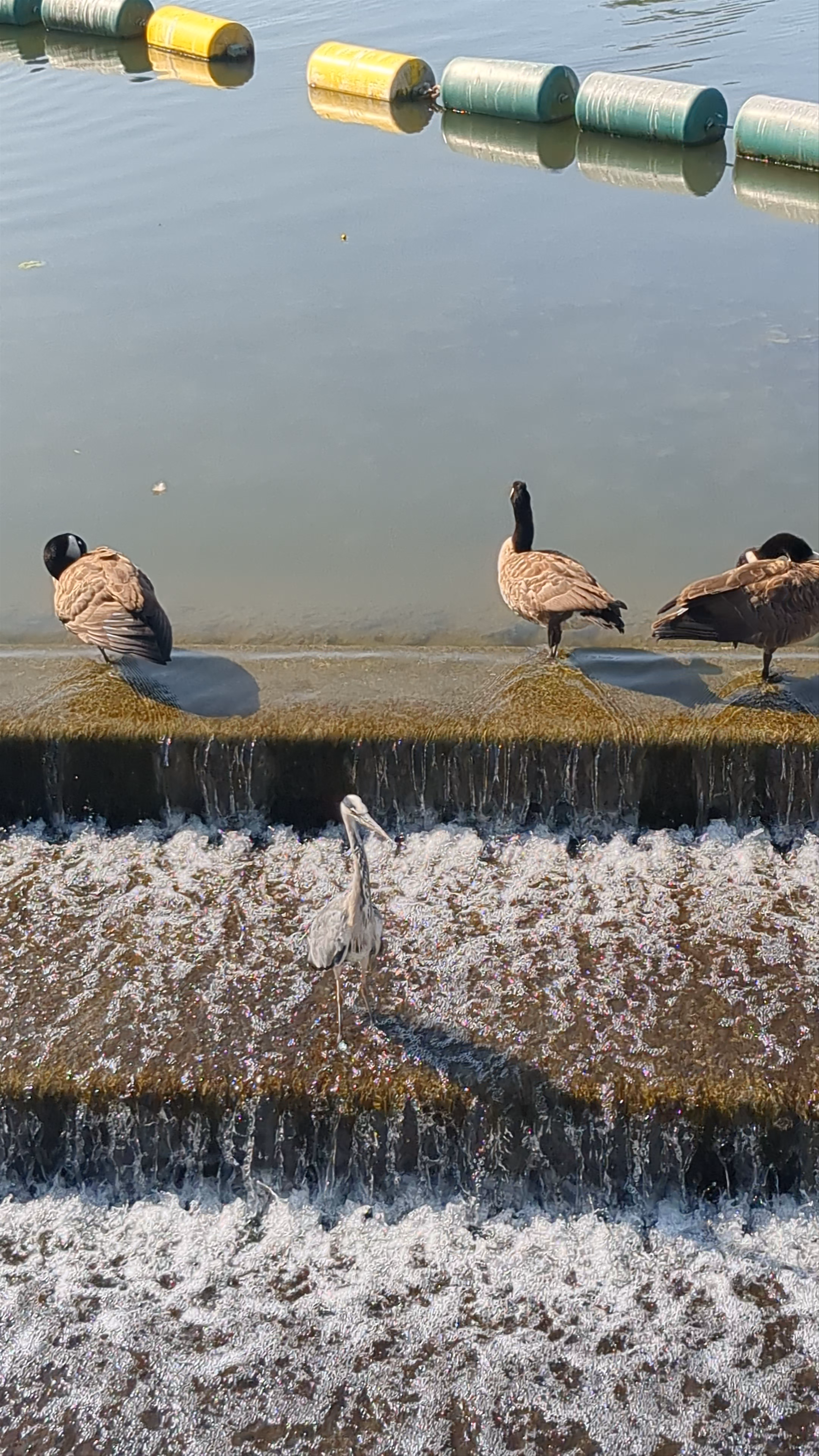 Embankment riverside