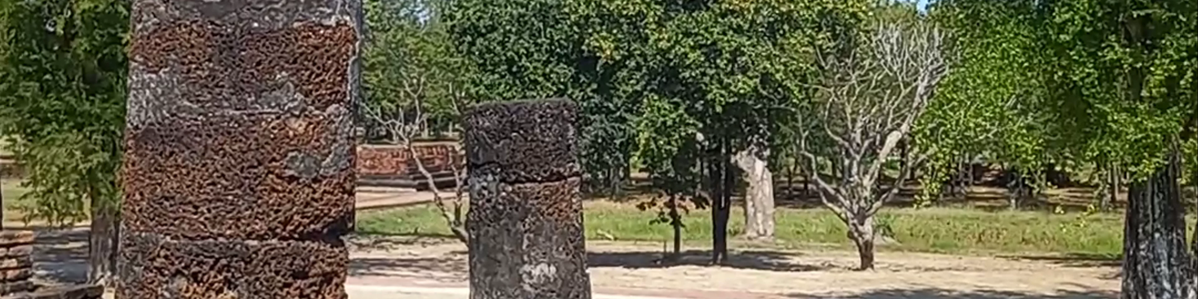 Wat Phrapai Luang