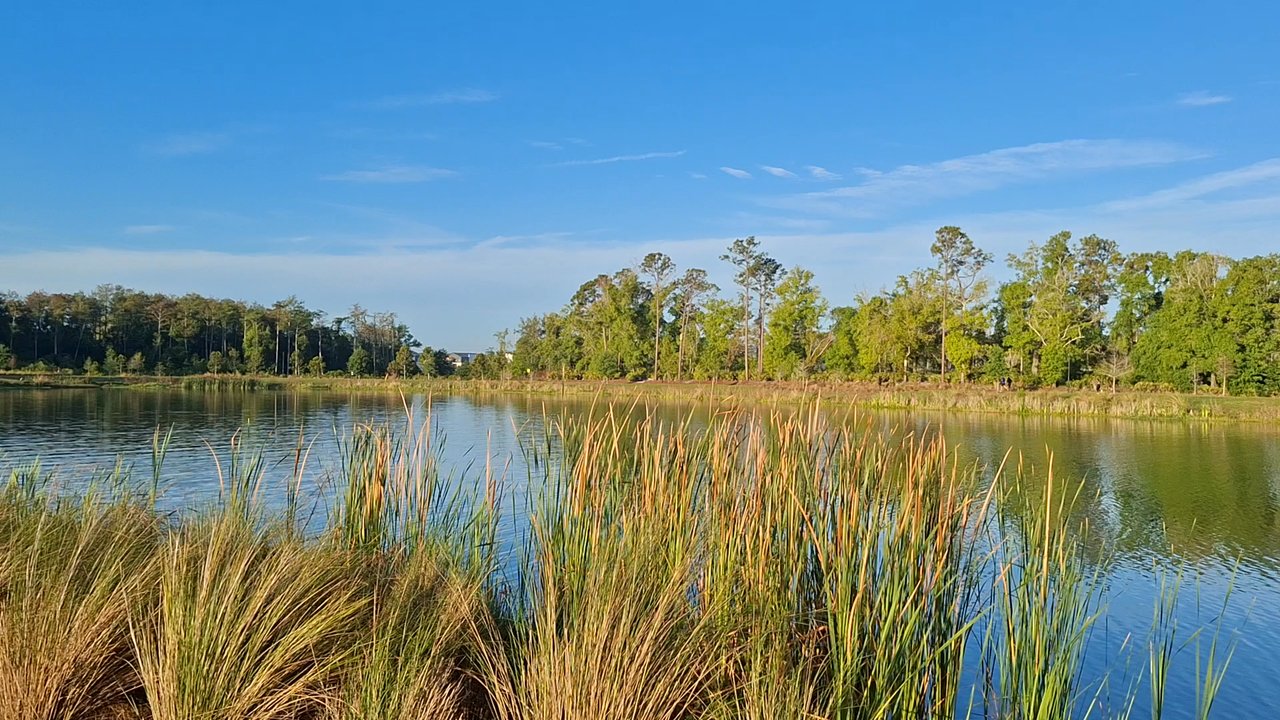 The Grove - Parks Near Me - Orlando, Florida