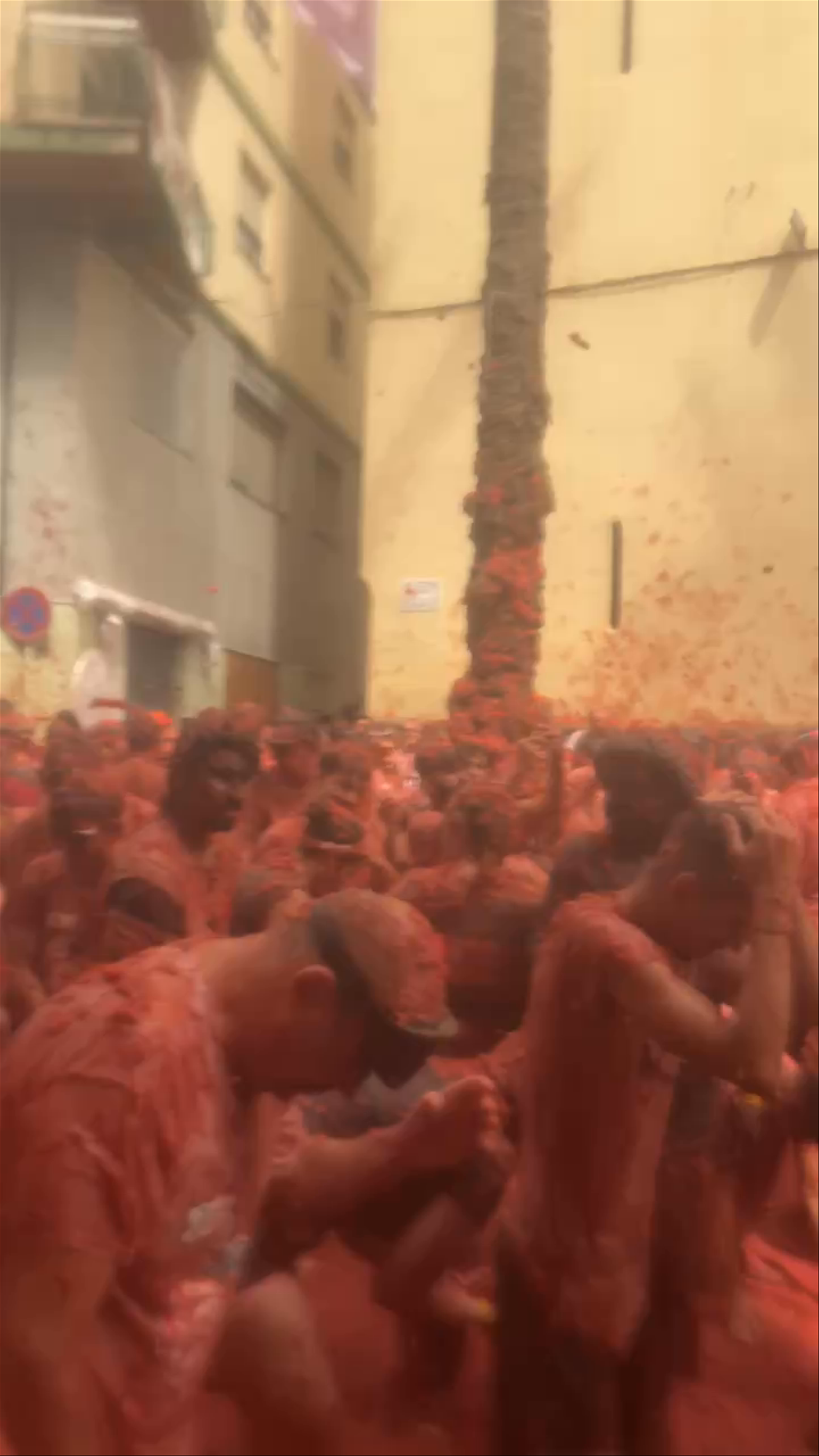La Tomatina festival