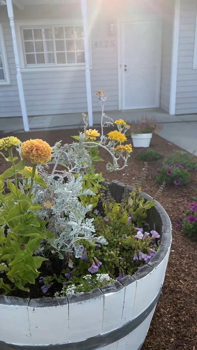 Curious Flora Nursery - Flowers in front of house - Nurseries & Gardening Near Me - Richmond, California