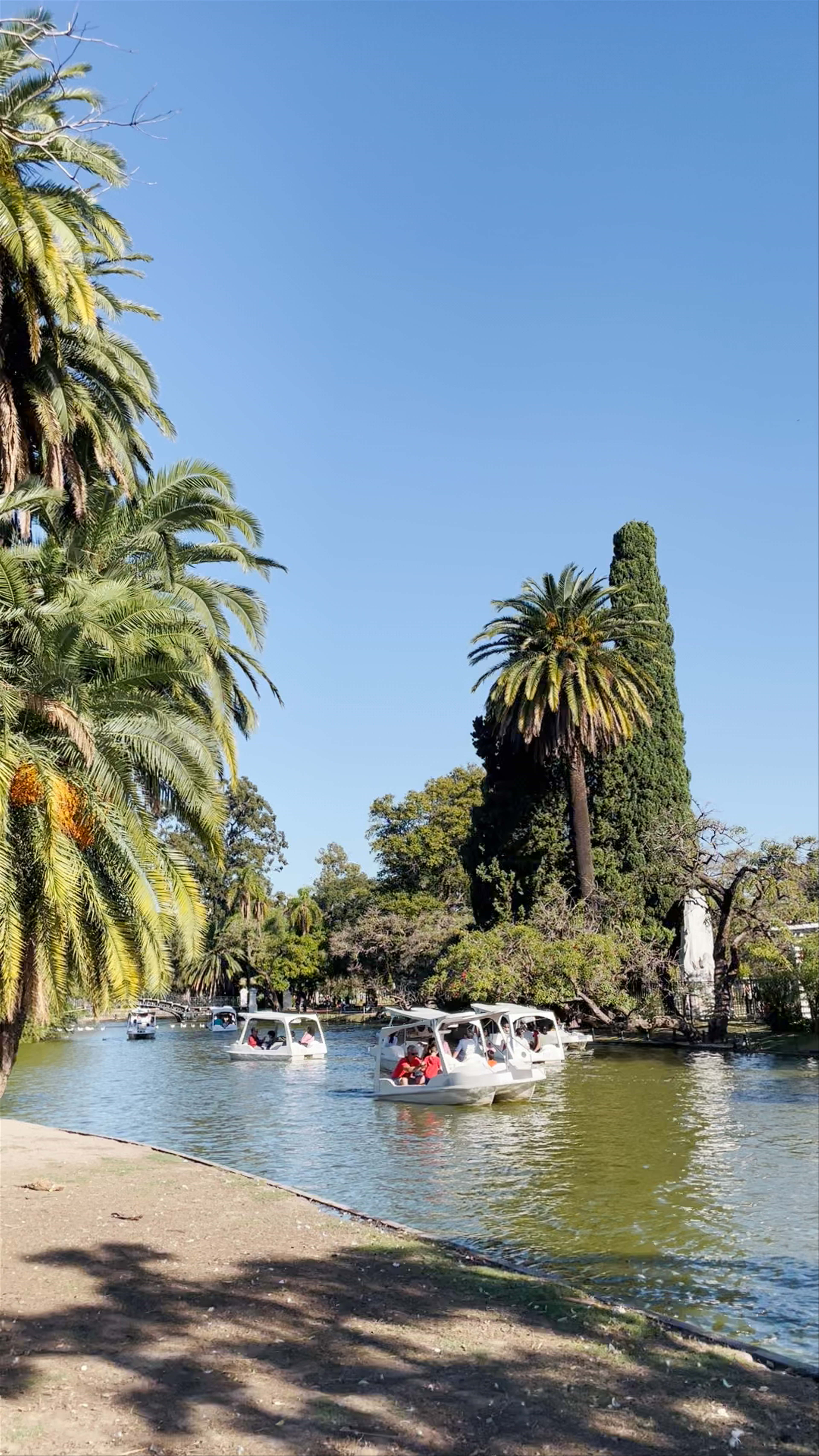 Parque El Rosedal: Serene Paddle Boating in Buenos Aires