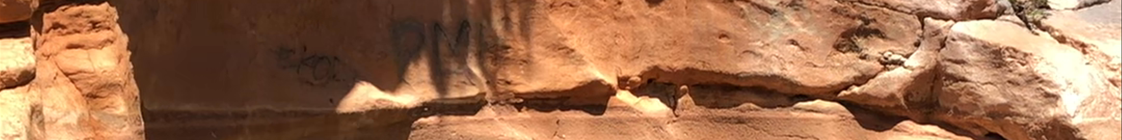 Tours & experiences in Agadir